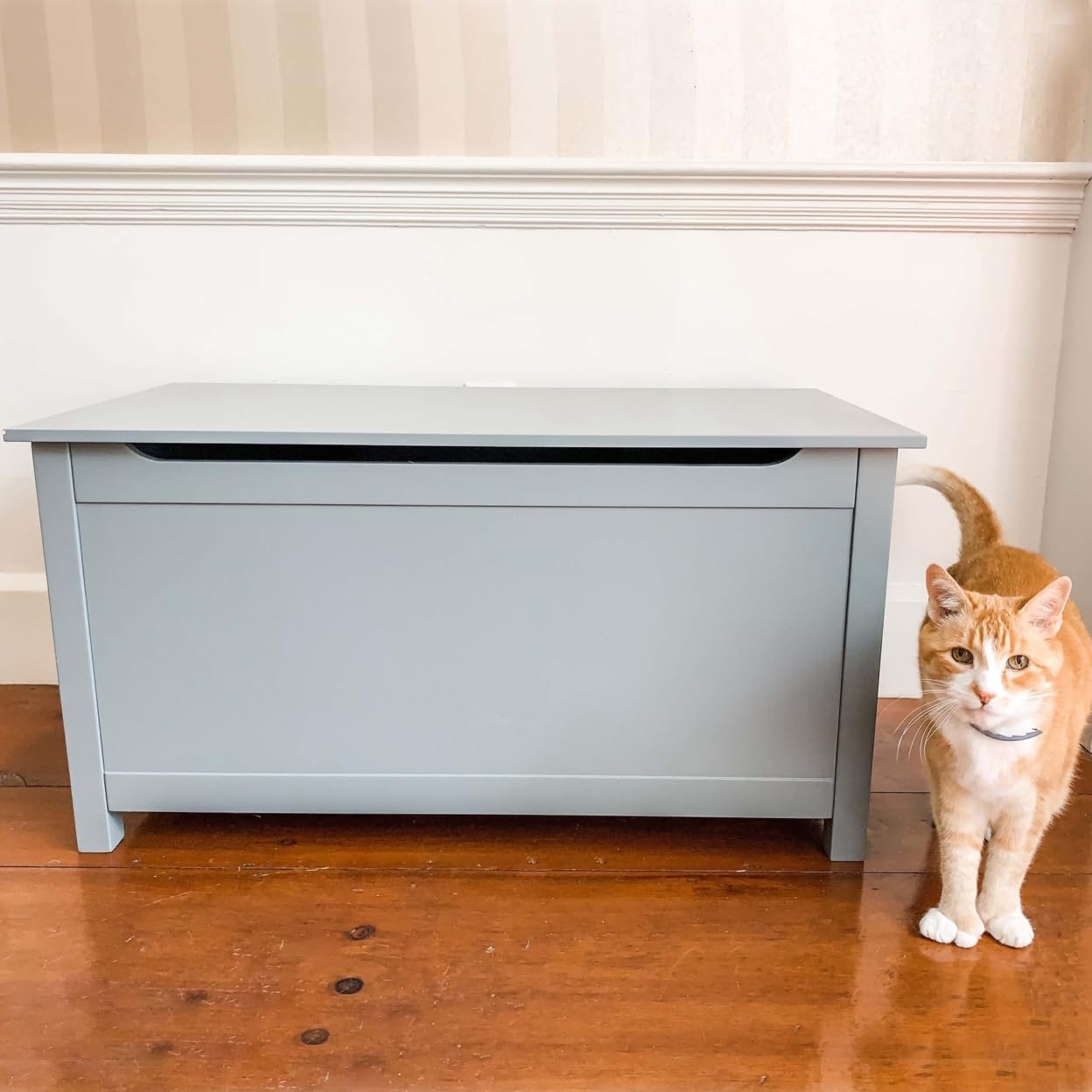 Parker Designer Hidden Cat Litter Box Enclosure - Dog-Proof Pet Furniture with Cover, Odor Control for Large Cats, Elegant Gray Cat Litter Box Cabinet with Lid - Perfect for Living Rooms, Bedrooms & Small Spaces