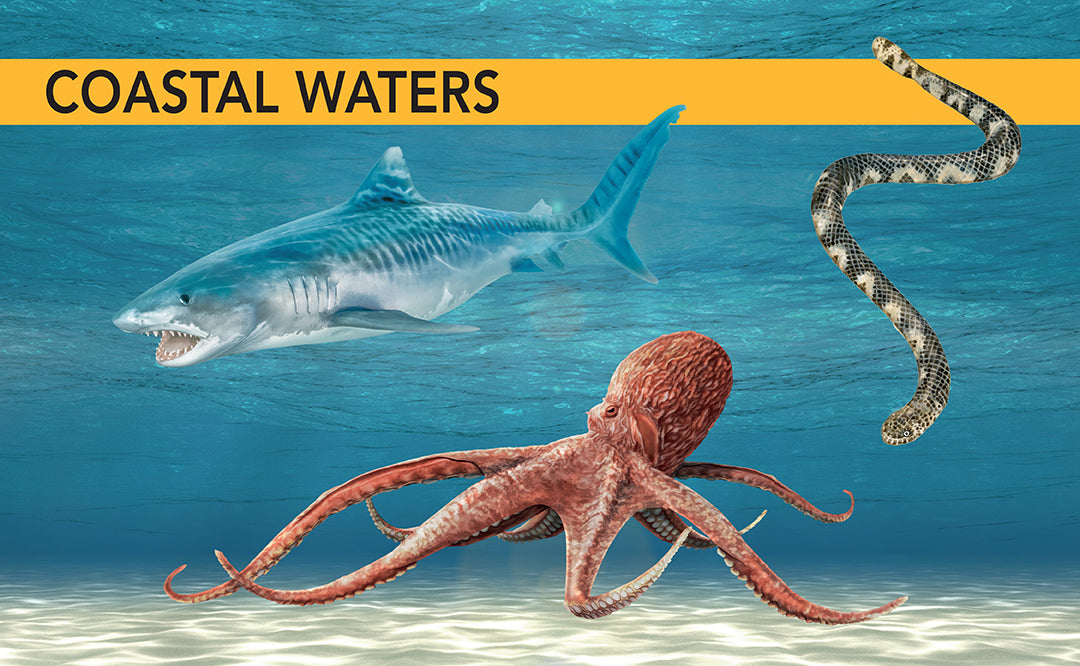 Ocean Creatures Spotter's Guide - Marine Life Identification Book for Kids & Adults - Perfect for Beach Trips, Snorkeling & Ocean Exploration