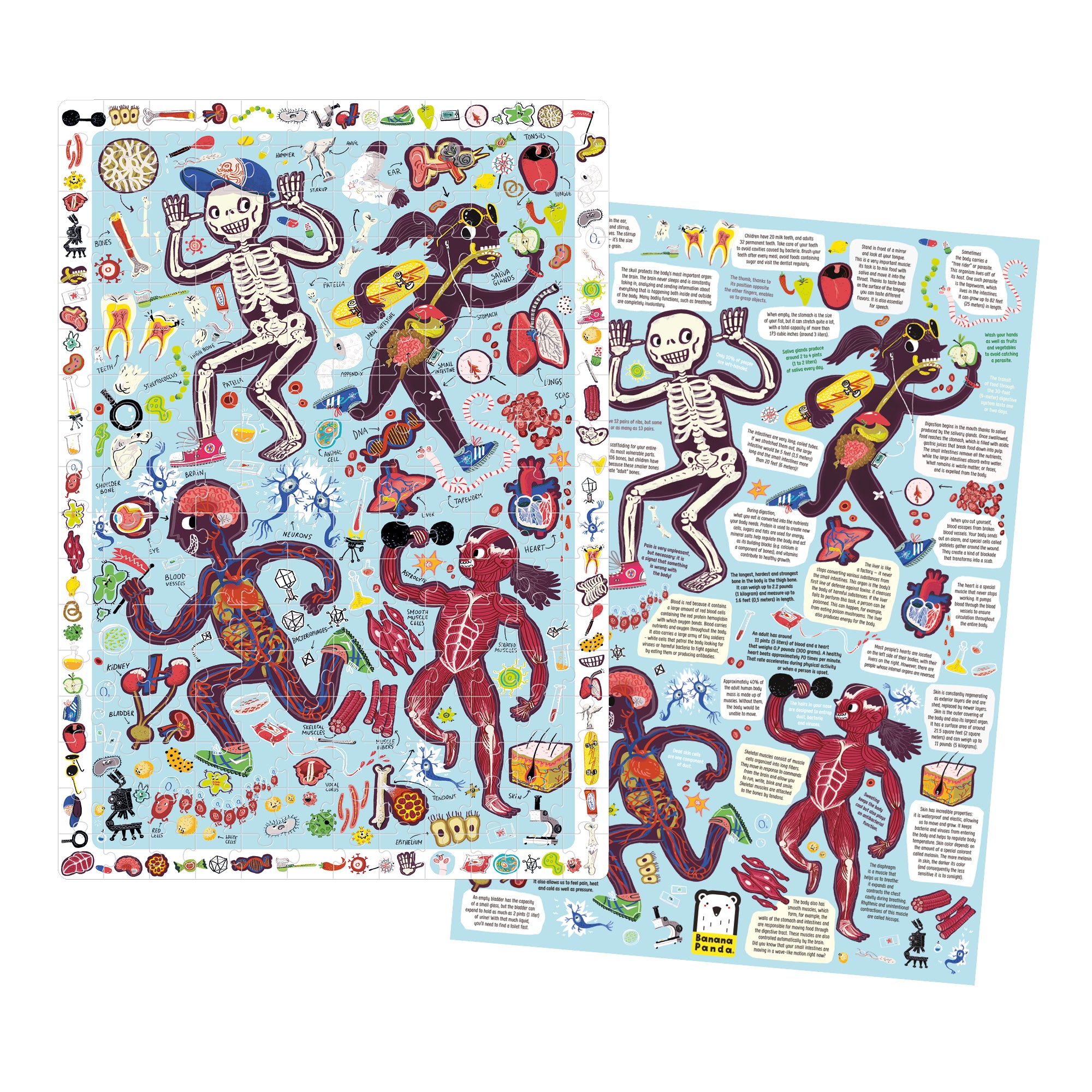 Banana Panda My Body Observation Jigsaw Puzzle - 204 Piece Educational Puzzle for Kids | Learn Human Anatomy | Perfect for Homeschooling & Family Game Night