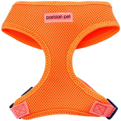 Bright Orange