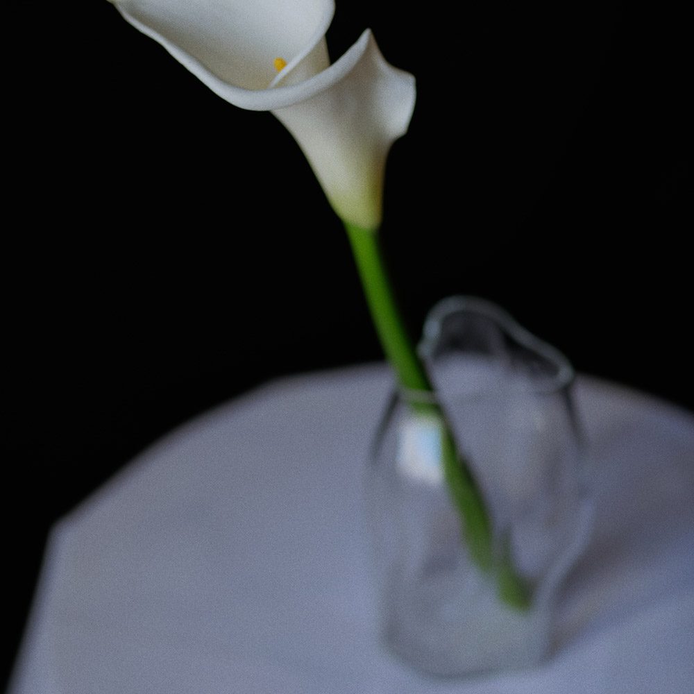 NEW WORKS Blaehr Small Clear Glass Vase - Elegant Home Decor for Centerpieces, Wedding, Dining Table & Living Room