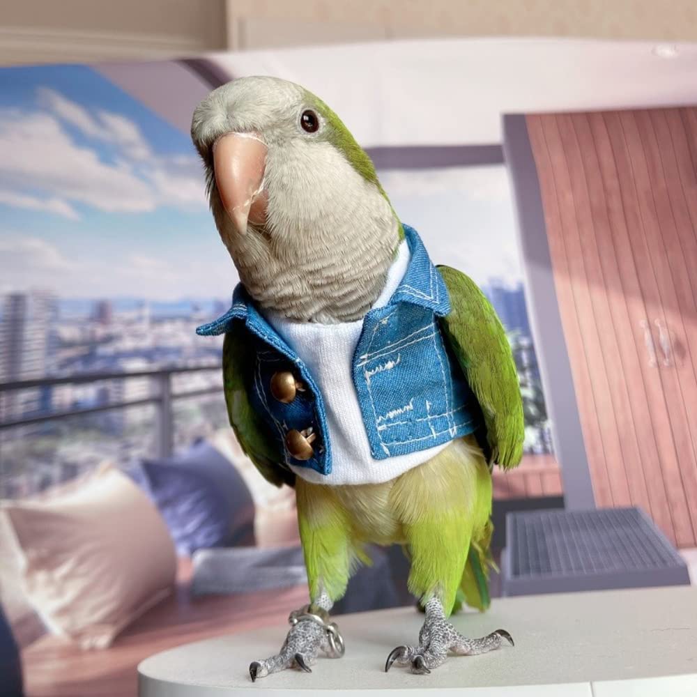 **Bird Diaper Flight Suit & Costume Set - Parrot, Lovebird, Cockatiel, Macaw Apparel with Washable Diaper - Perfect for Cosplay, Photo Props & Small Pet Fashion**    *(Ideal for bird owners, pet fashion lovers, and cosplay enthusiasts! Keep your feathered friend stylish and mess-free during playtime, photoshoots, or themed events.)*