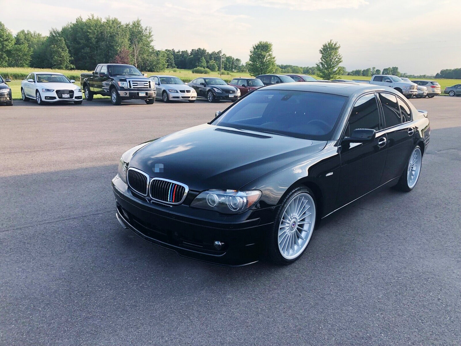BMW E65 E66 7 Series (2006-2008) M Style Colored Grille Insert Trims with 14 Beam Grill - Upgrade Your Car's Front Grille for Enhanced Style & Performance - Perfect for Car Enthusiasts & Auto Customization