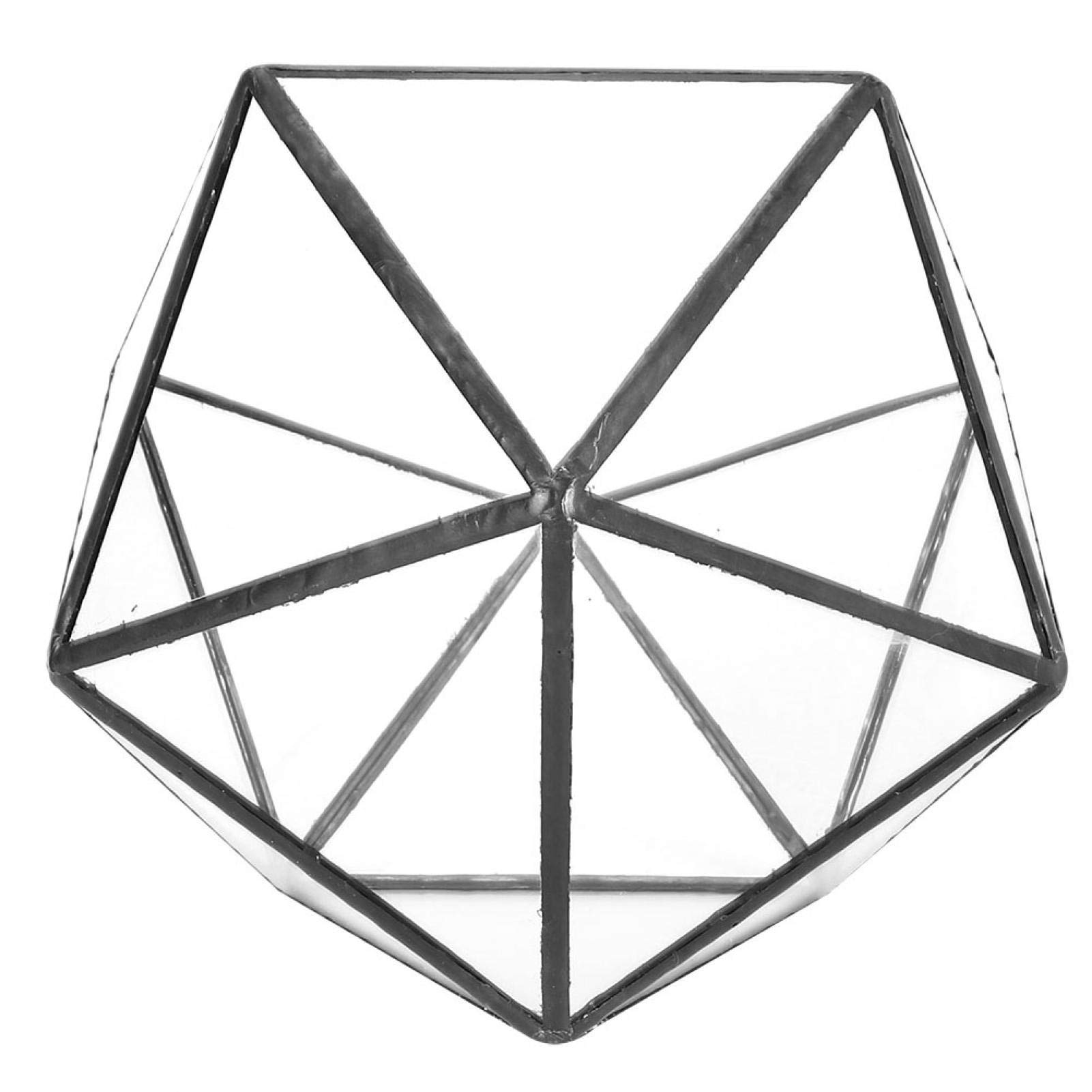 Vbestlife Modern Geometric Glass Terrarium - Tabletop Planter for Ferns, Moss & Succulents | Home & Office Decor, Gift Idea for Plant Lovers