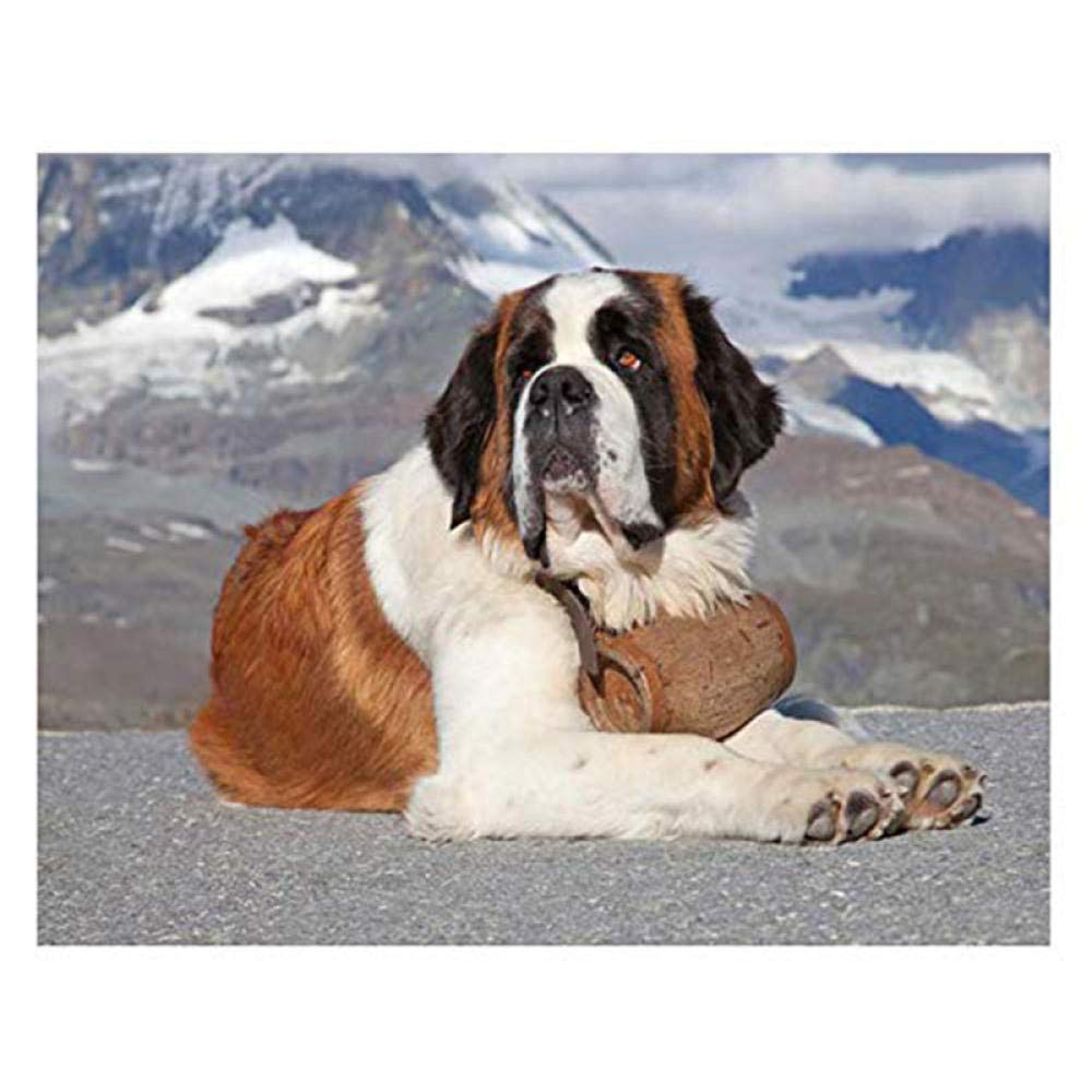 5D Diamond Painting Kit - DIY Full Drill Snow Mountain Dog Art, 30x40cm Home Wall Decor, Perfect for Relaxation & Stress Relief, Great Gift for Adults & Kids
