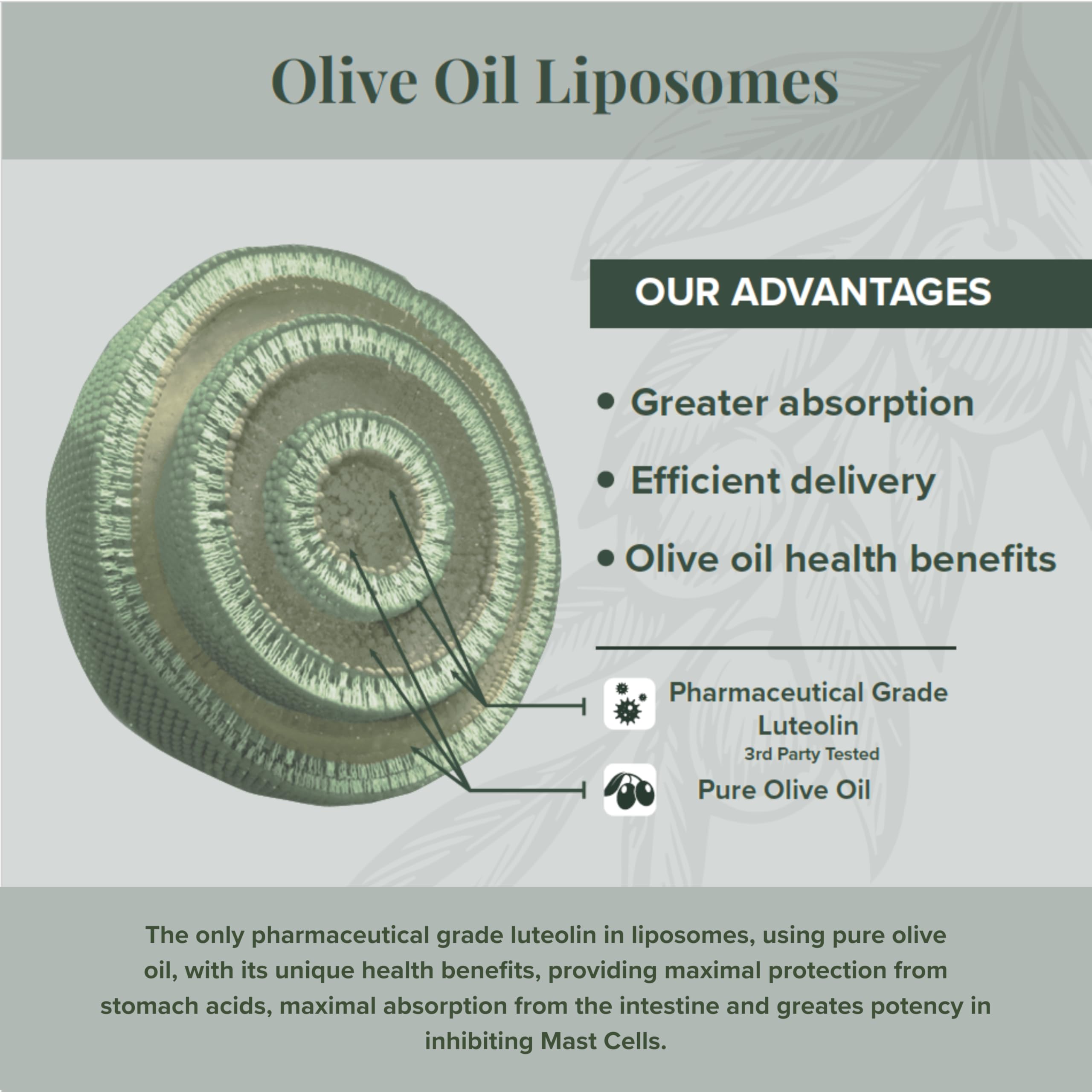 PureLut Liposomal Luteolin Supplement - 4 Pack | Patented Olive Oil Liposomal Formula for Brain Health & Immune Support | Antioxidant for Cognitive Function & Inflammation Relief