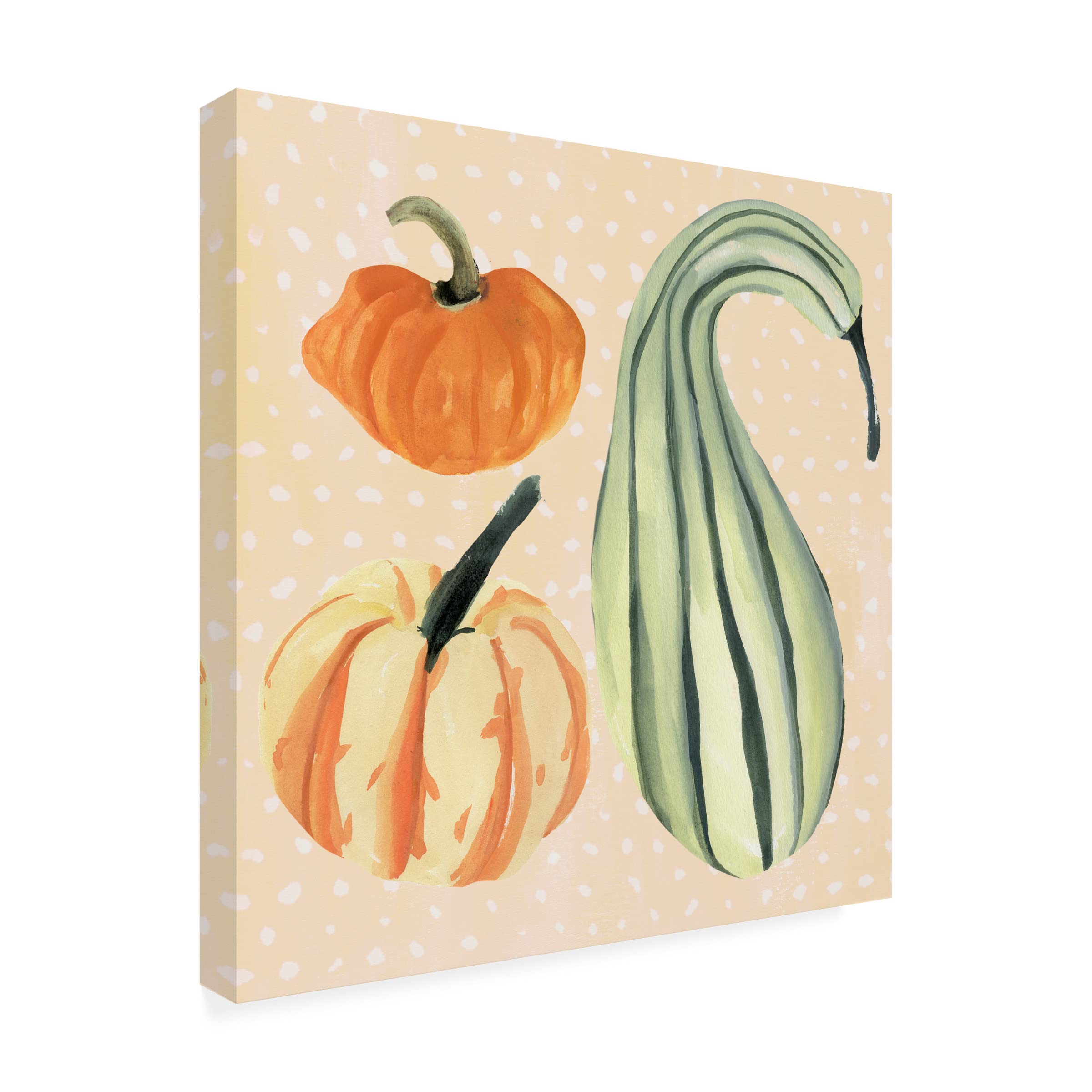 Annie Warren 'Decorative Gourd III' Canvas Wall Art Print - Modern Home Decor for Living Room, Bedroom & Office - Trademark Fine Art Collection