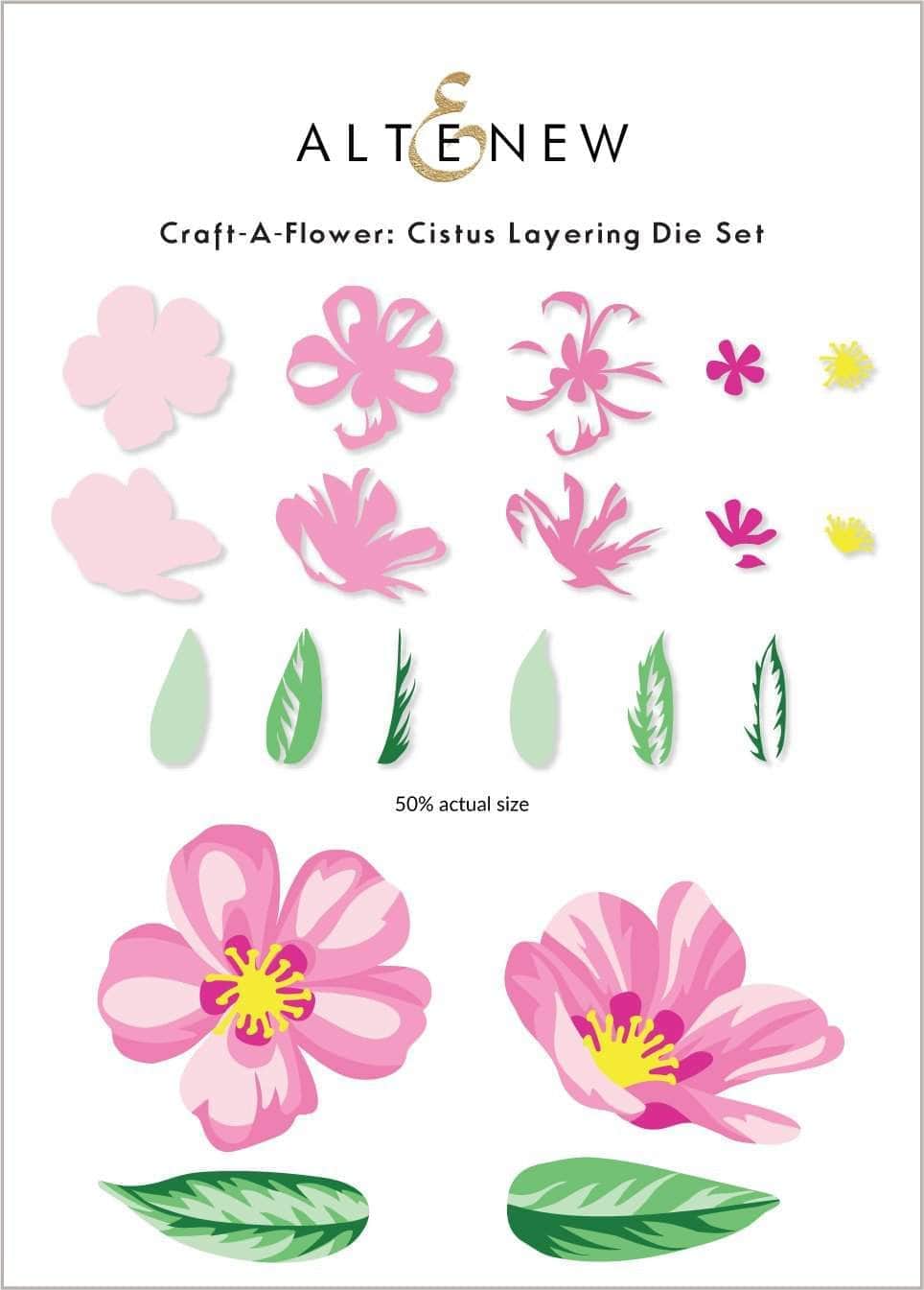 Cistus Layering Die Set for Paper Flower Crafting - Perfect for DIY Scrapbooking, Card Making, and Home Decor Projects