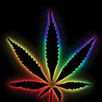 Rainbow Weed