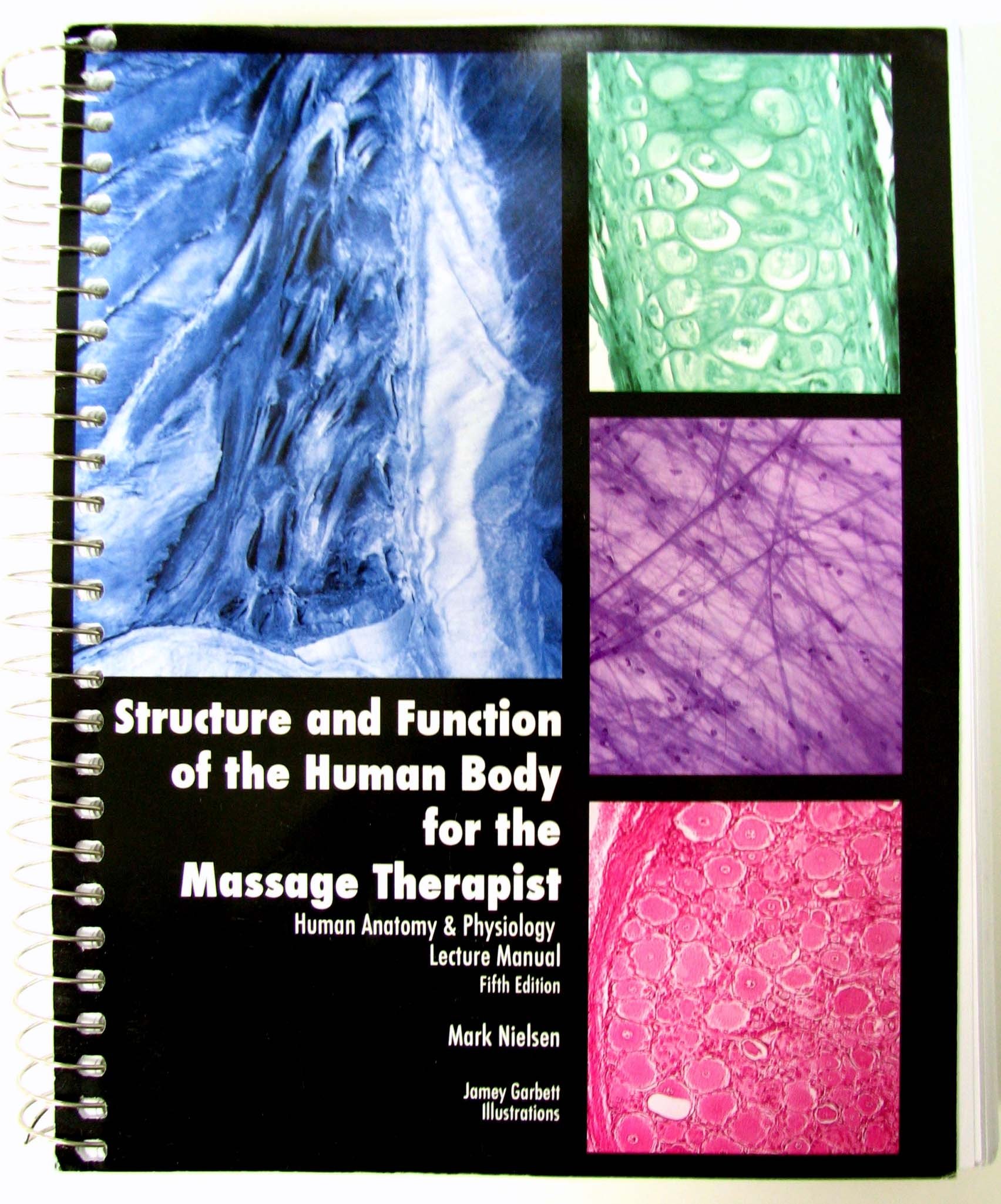 Human Body Structure & Function for Massage Therapists - Comprehensive Lecture Manual | Anatomy Guide for Professional Massage Therapy Training & Practice