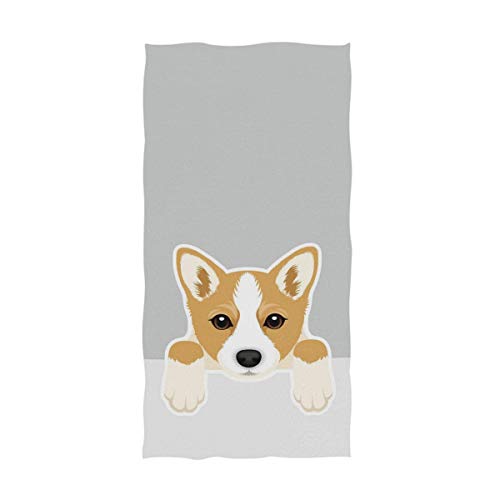 Welsh Corgi Dog