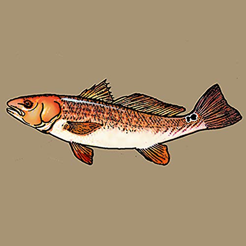 Redfish