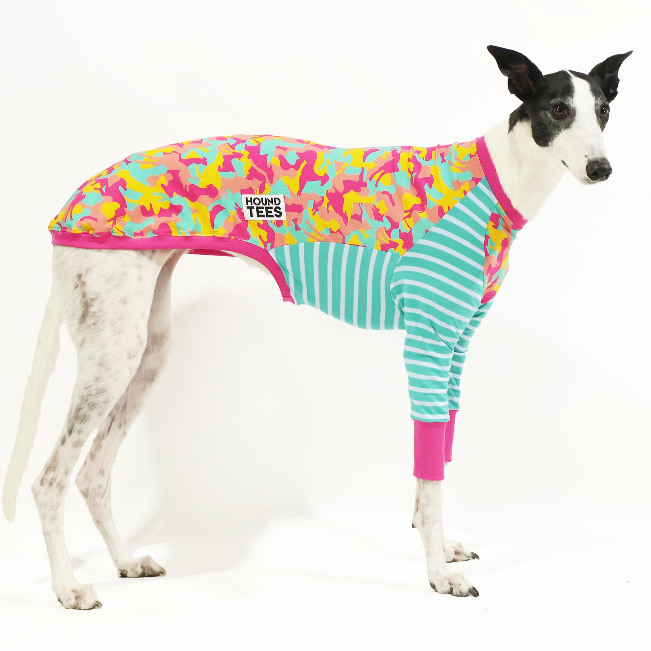 Houndini Candy Greyhound Long Sleeve Dog T-Shirt for Greyhound Lovers - Perfect for Dog Walks, Pet Events & Casual Wear