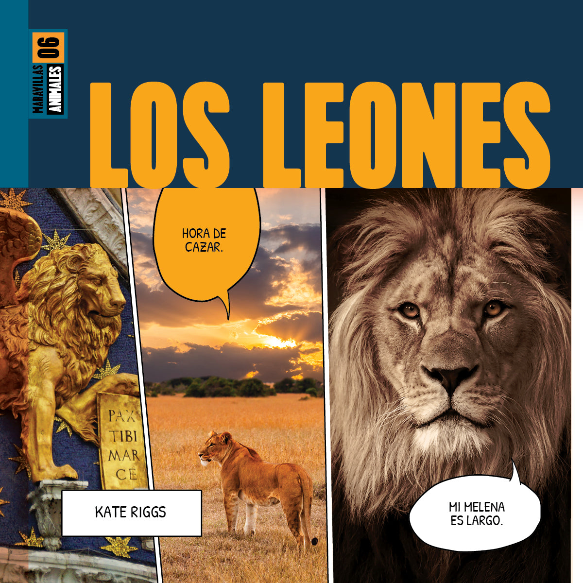 Los Leones Premium Quality Product - Durable & Stylish for Home, Office, and Outdoor Use