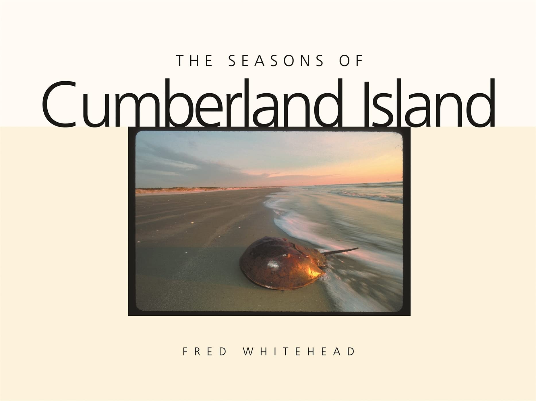 The Seasons of Cumberland Island - Wormsloe Foundation Nature Books | Explore Wildlife, Nature & Conservation | Perfect for Nature Enthusiasts & Outdoor Lovers