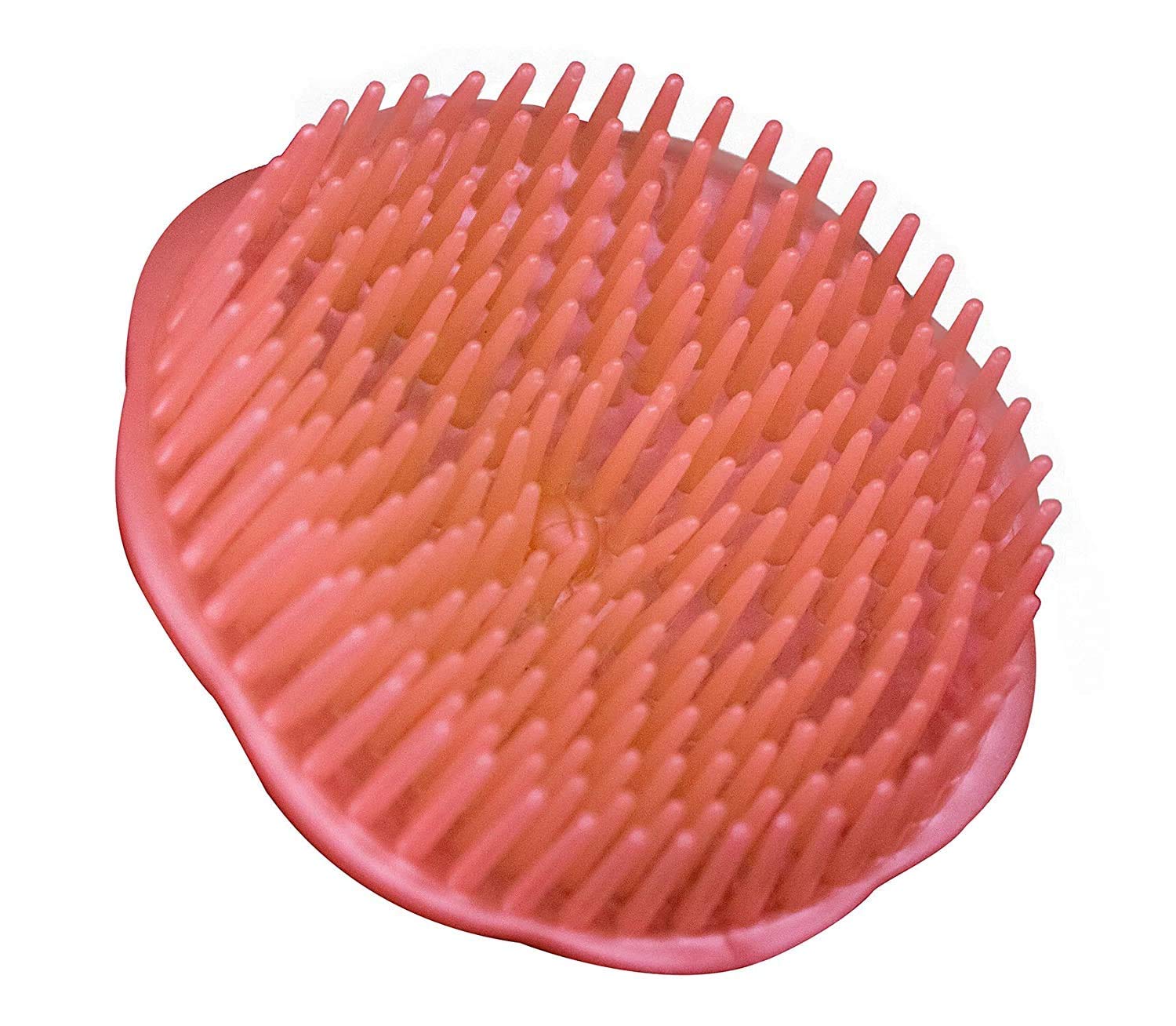 APOEM Round Shampoo Brush for Hair Care - Scalp Massager & Detangler for Men & Women (2-Pack) - Perfect for Salon, Home & Travel Use