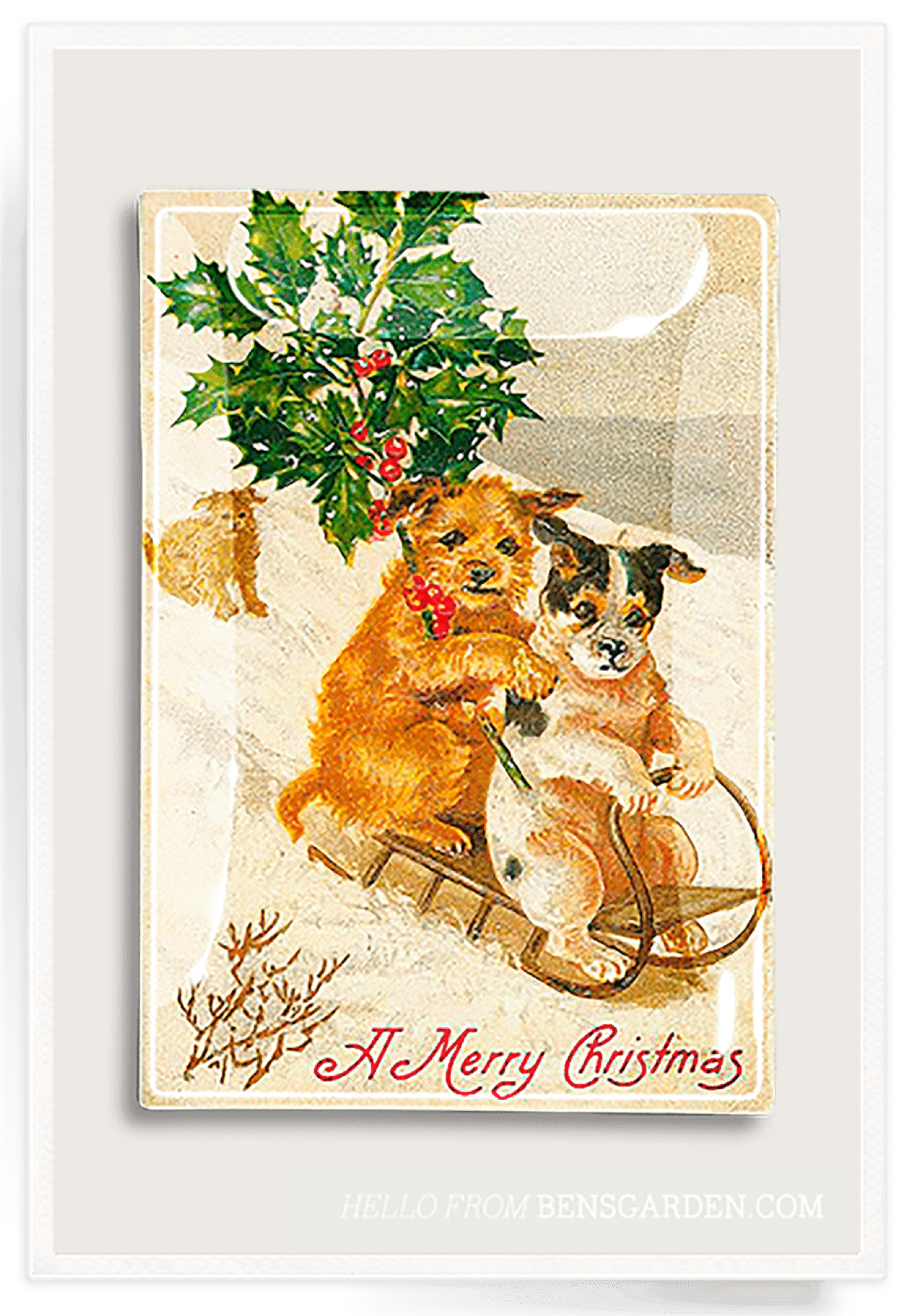 Christmas Dog Sled Decoupage Glass Tray - Holiday Serving Tray for Cookies, Desserts & Party Appetizers - Festive Home Decor & Gift Idea