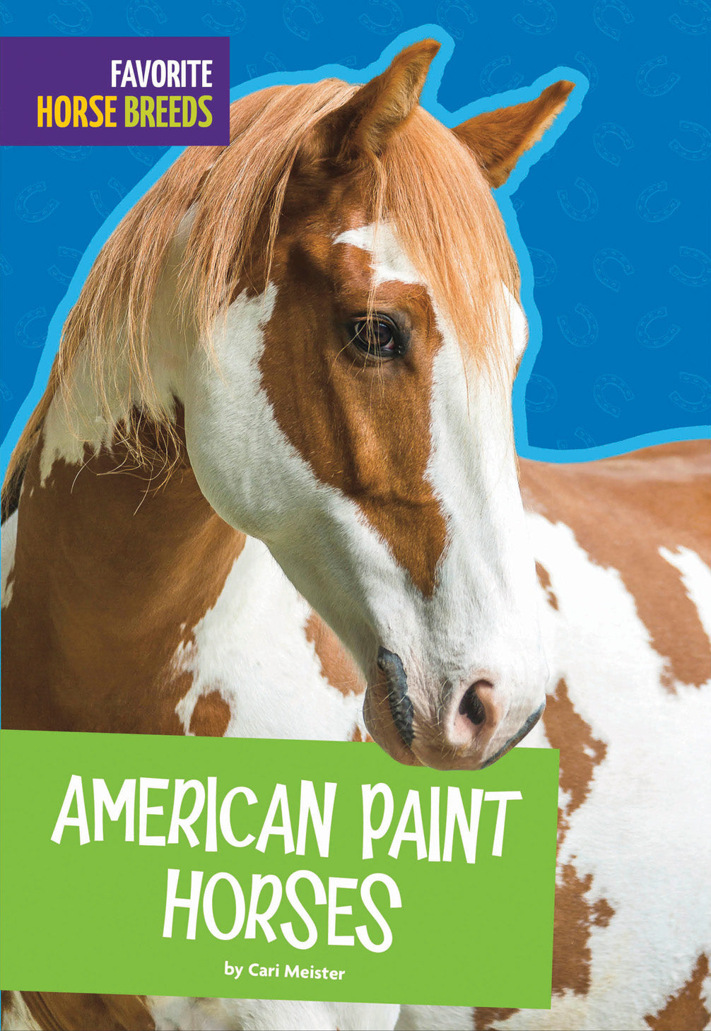 American Paint Horses for Sale | Beautiful Spotted Coat Patterns | Perfect for Trail Riding, Shows & Ranch Work