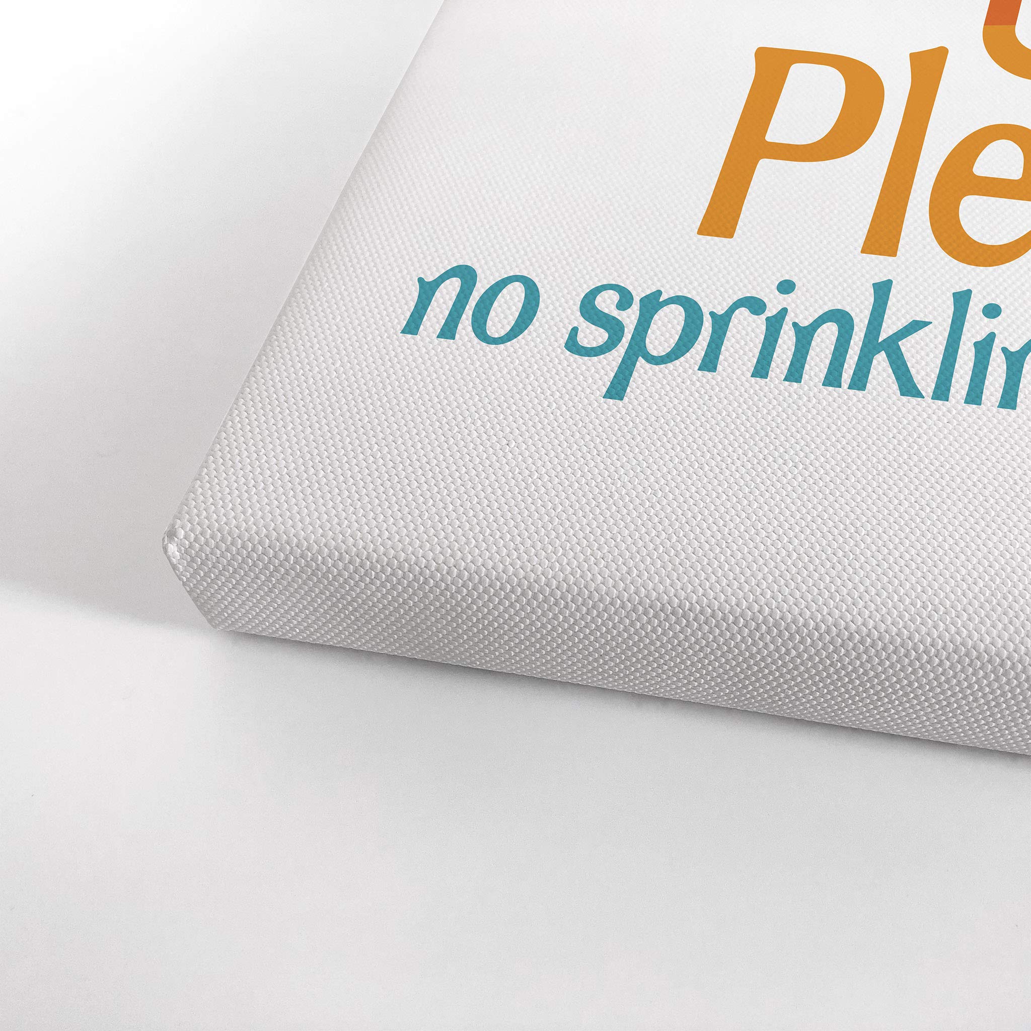 Funny No Sprinkles Bathroom Sign Canvas Print - 12x8 Wall Art for Home Decor