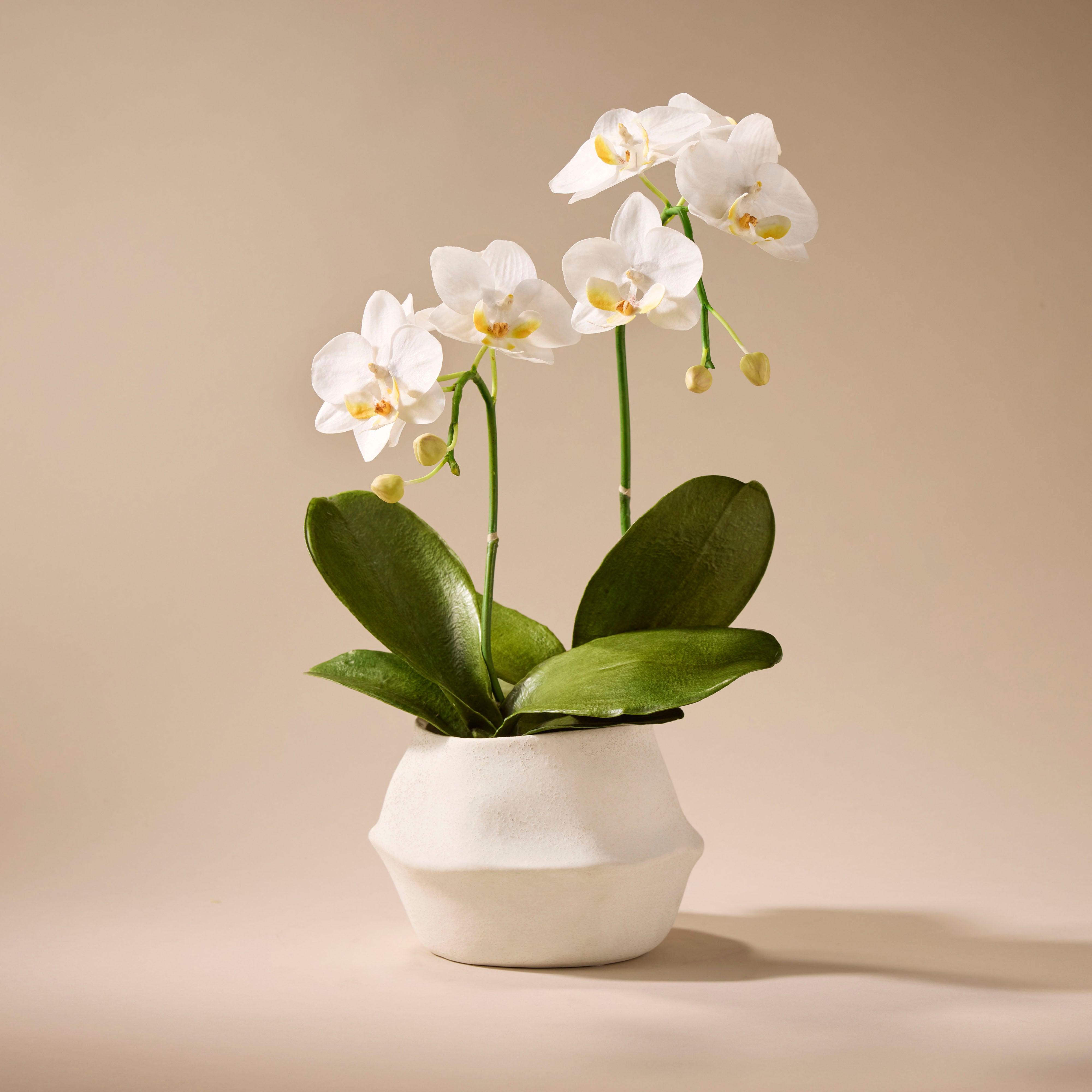 Premium Faux Phalaenopsis Orchid Plant in White - 45cm Tall with Maliah Pot - Elegant Home & Office Decor for Living Room, Bedroom, Wedding Centerpieces
