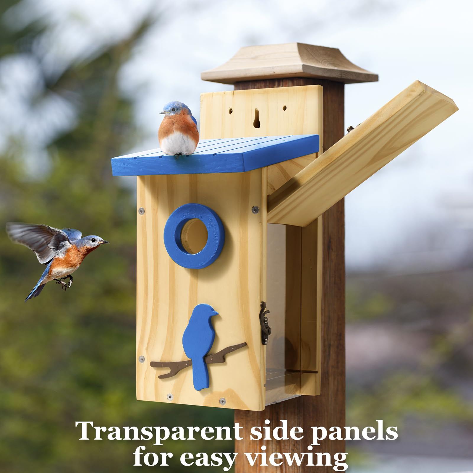 Royal Blue Bird House with Predator Guard - Outdoor Garden & Patio Decor for Bluebirds