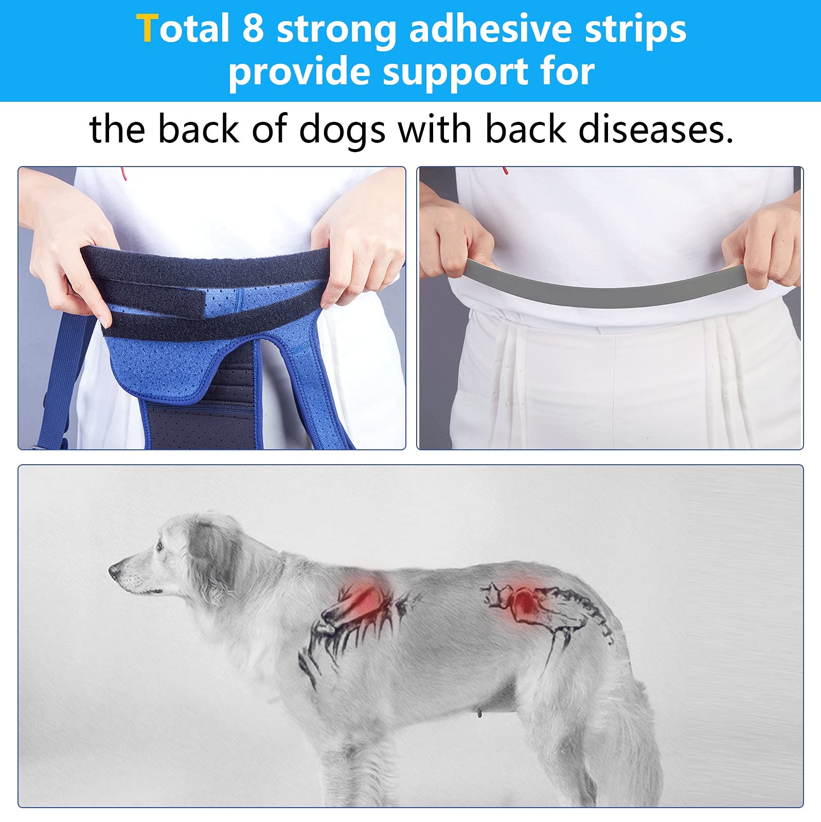 Coodeo Dog Back Brace for Arthritis & IVDD - Pain Relief, Surgical Recovery & Rehabilitation Support - Small Size for Pet Back Protection - Ideal for Post-Surgery Care & Mobility Support