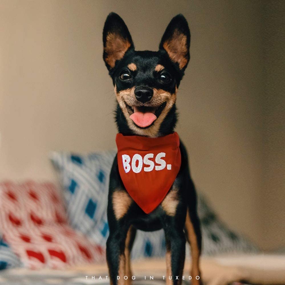 BOSS Dog Bandana & Scarf with Adjustable Collar - Tuxedo Style Pet Accessory for Large Dogs (Red, XL) - Perfect for Weddings, Parties & Special Occasions
