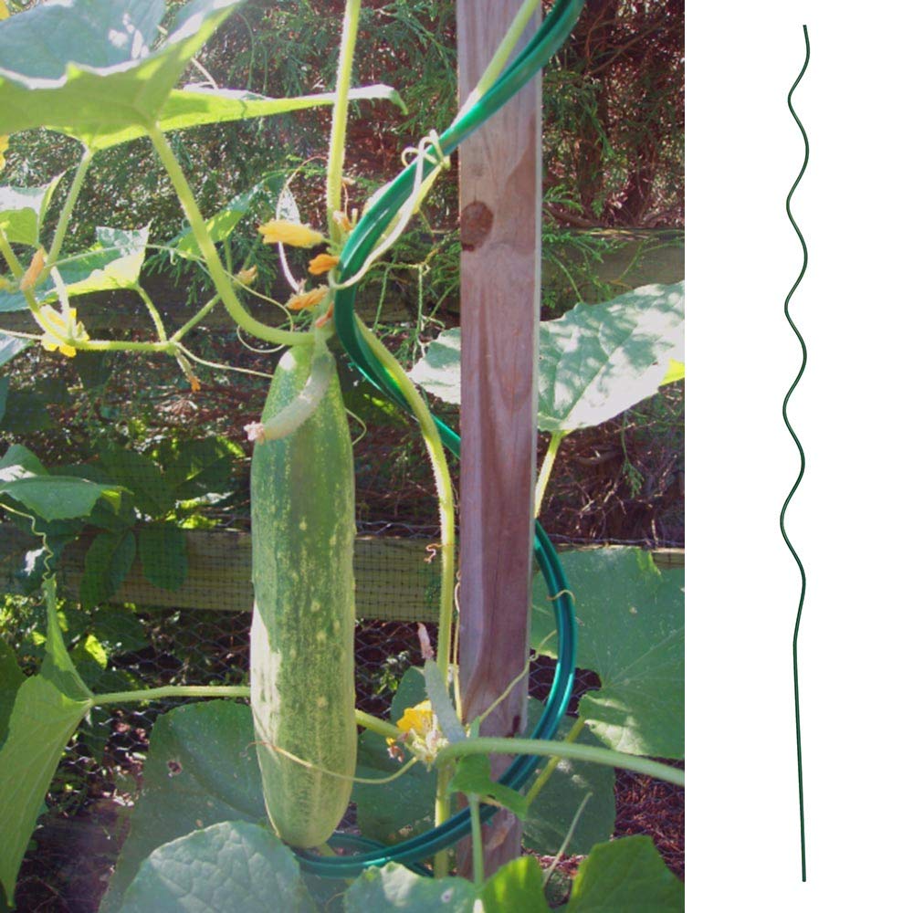 59-inch Green Spiral Tomato Stakes - Pack of 10 | 6mm Thick Twist Plant Supports for Climbing Tomatoes, Vines & Vegetables | Durable Garden Stakes for Outdoor Planting, Trellising & Vertical Gardening