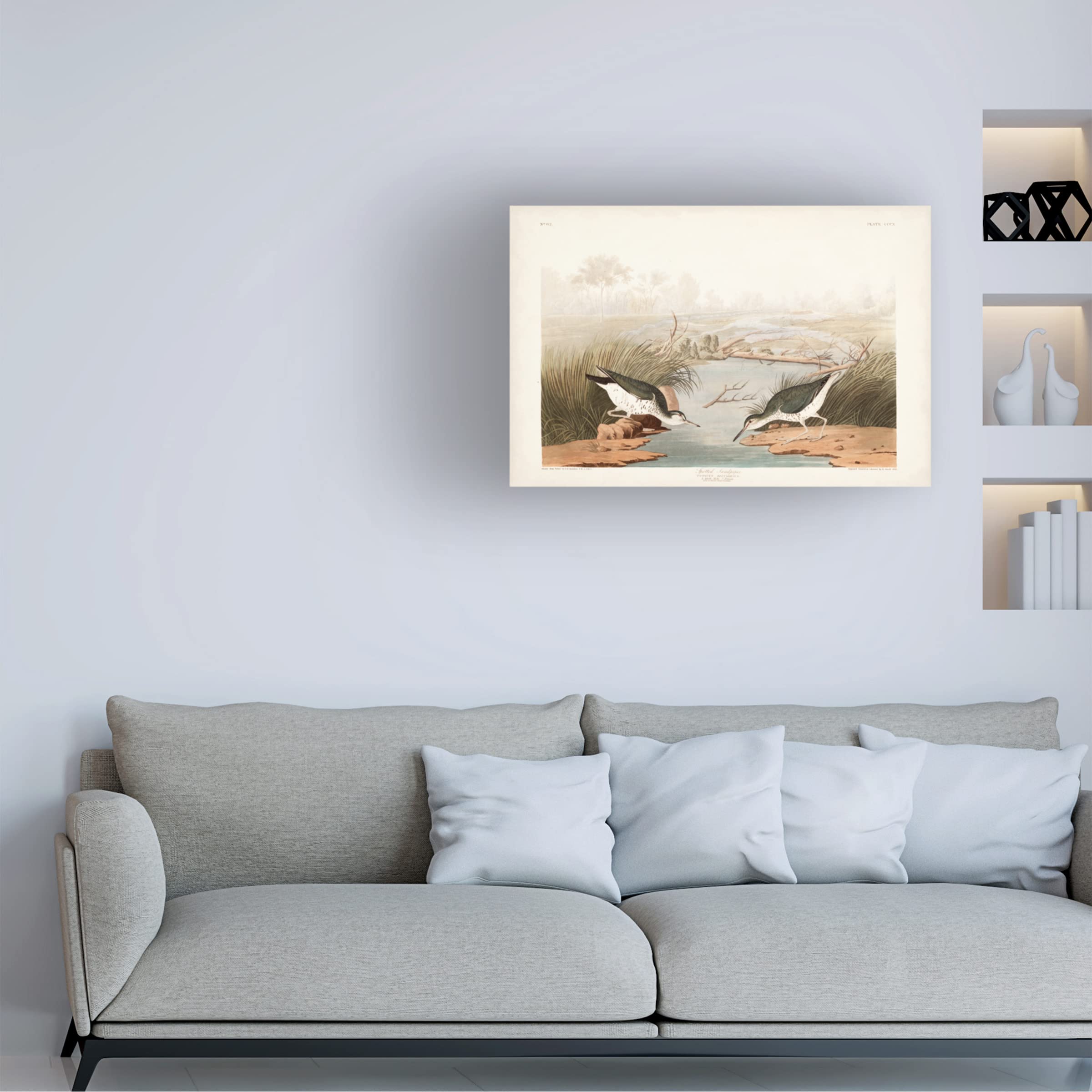 John James Audubon Spotted Sandpiper Canvas Art Print 12x19 - Wildlife Bird Wall Decor for Living Room, Bedroom & Office