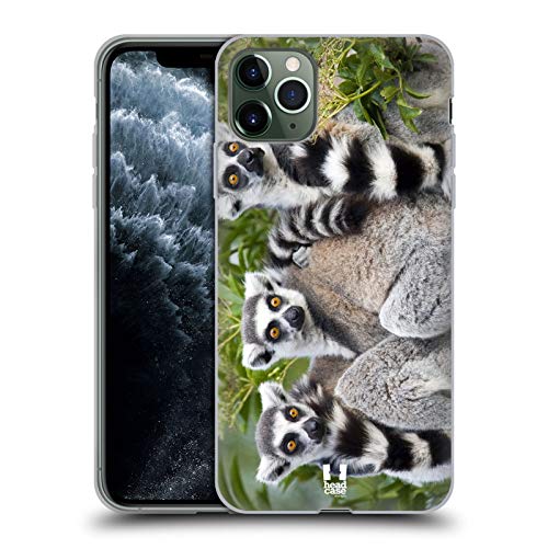 Ring Tailed Lemur