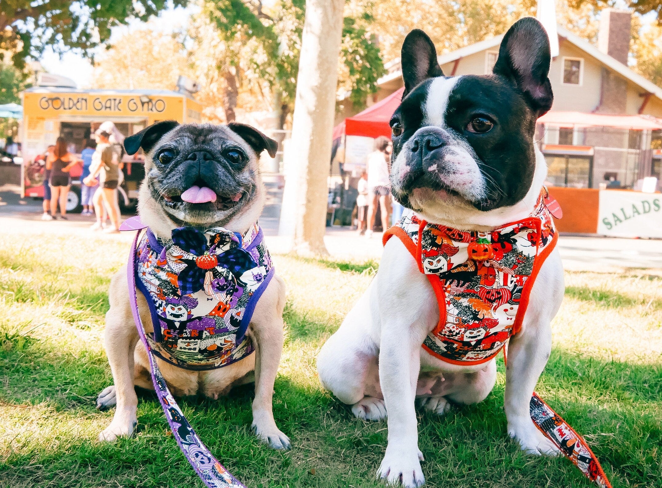 Halloween Dog Harness - Orange Ghost Costume for Small & Large Dogs | Pet Safety Vest for Trick or Treating & Costume Parties