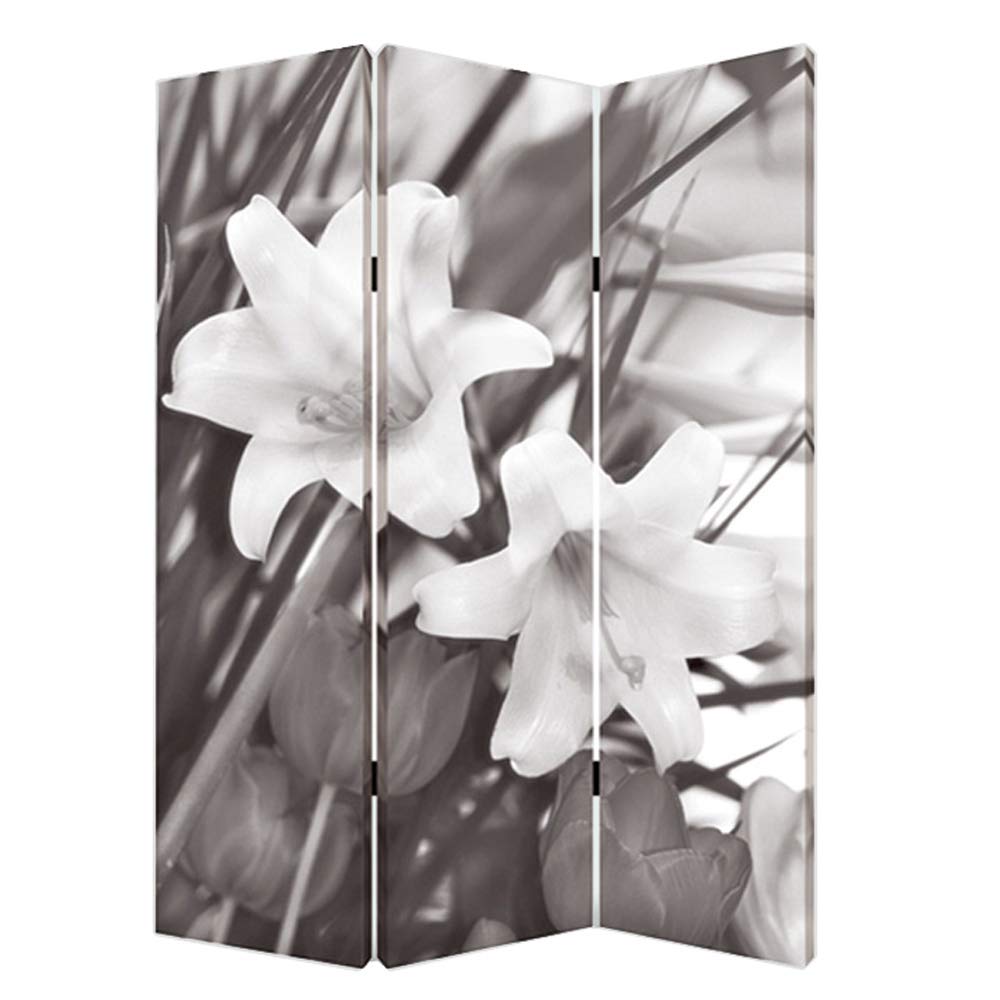 Screen Gems Lilly Folding Room Divider - 6 Panel Privacy Partition for Home, Office & Events - Decorative Freestanding Screen with Floral Design