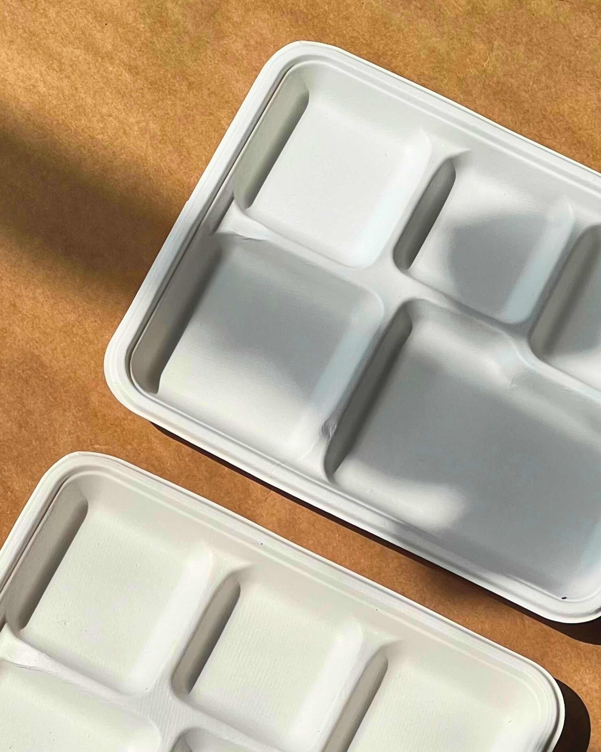 Eco-Friendly Disposable 5-Compartment Meal Trays (25 Pack) - Bagasse, Compostable & Biodegradable Rectangular Plates for Parties, Weddings, Snacks & Dinner - Perfect for Catering, Picnics & Events (White)