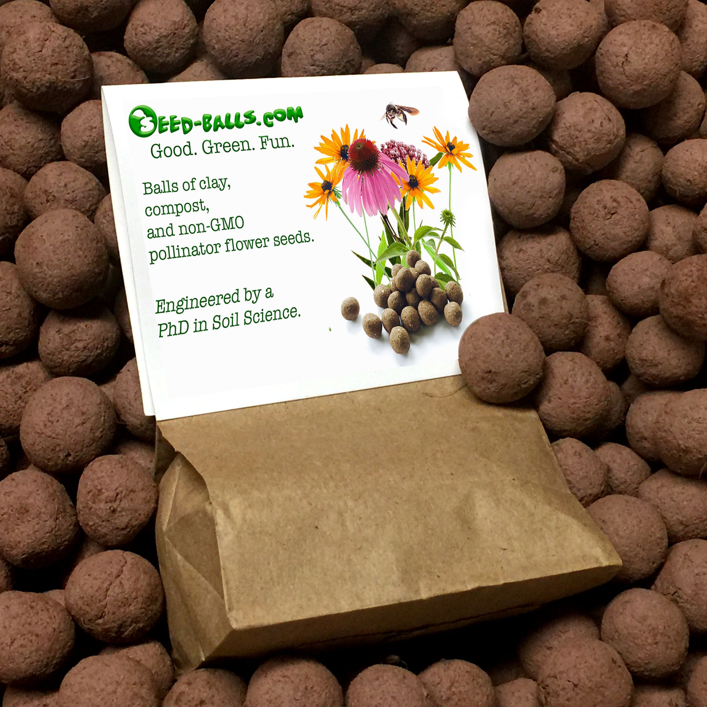 Rocky Mountain Penstemon Seed Balls (Penstemon strictus) - Bulk Wildflower Seeds for Fall Planting | 20 Pack | Attract Pollinators & Beautify Gardens
