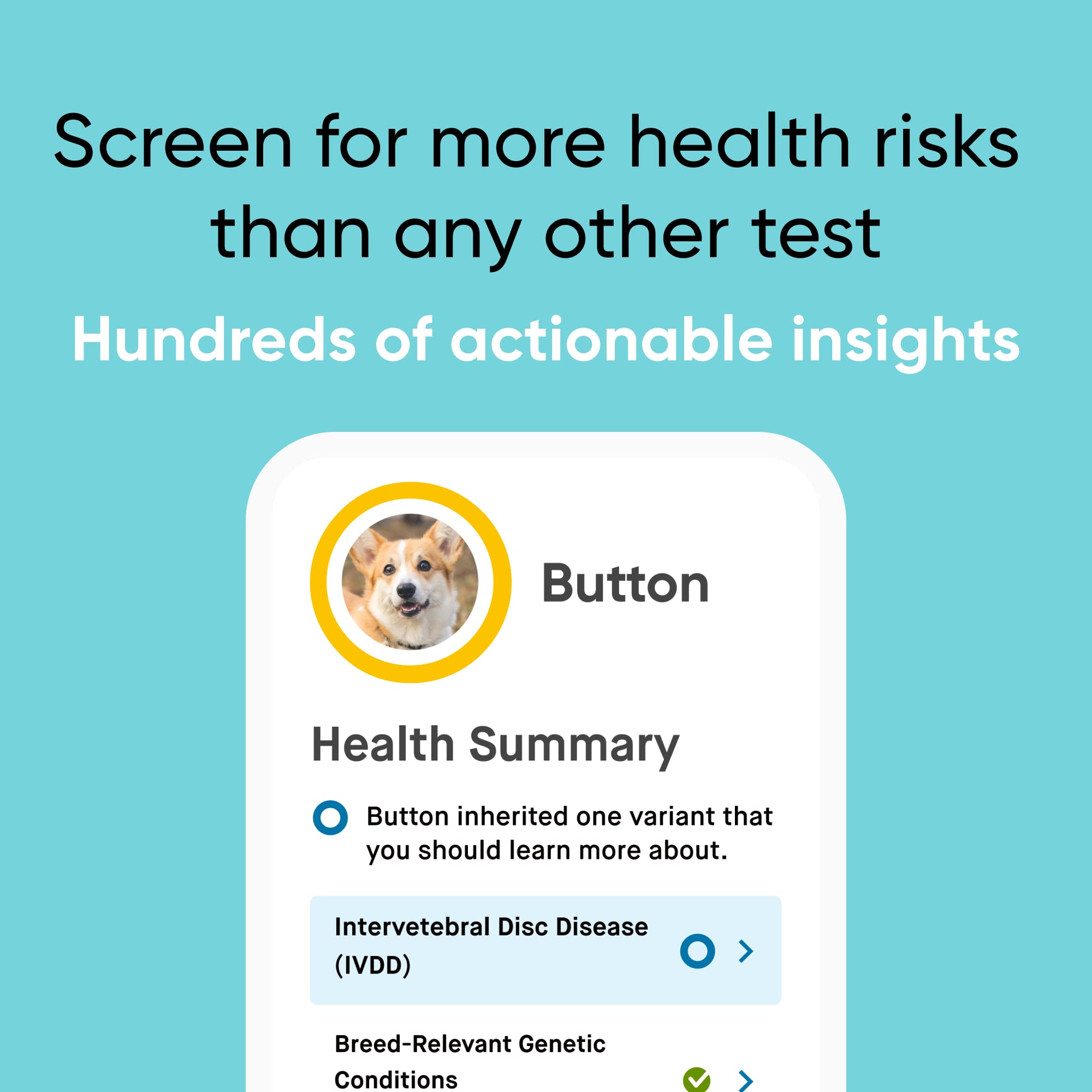 Embark Breed & Health Kit - Dog DNA Test for Breed, Ancestry, Genetic Health & Traits | Find Relatives & COI | Perfect for Pet Owners & Breeders