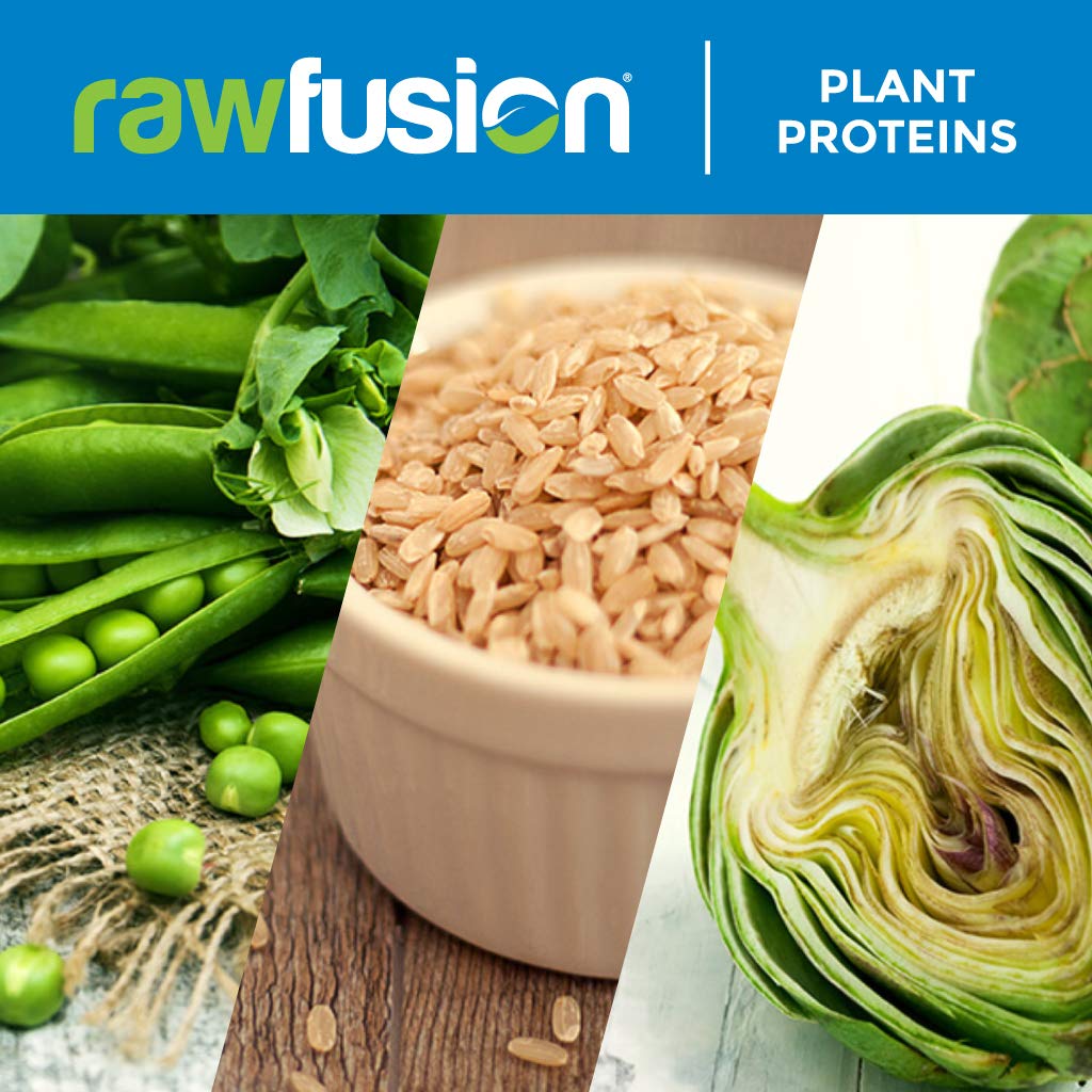RawFusion Plant Protein Powder - Peanut Chocolate Fudge Flavor, 32.9oz (Pack of 1) | Vegan Protein Supplement for Muscle Recovery, Smoothies & Baking | Gluten-Free & Non-GMO