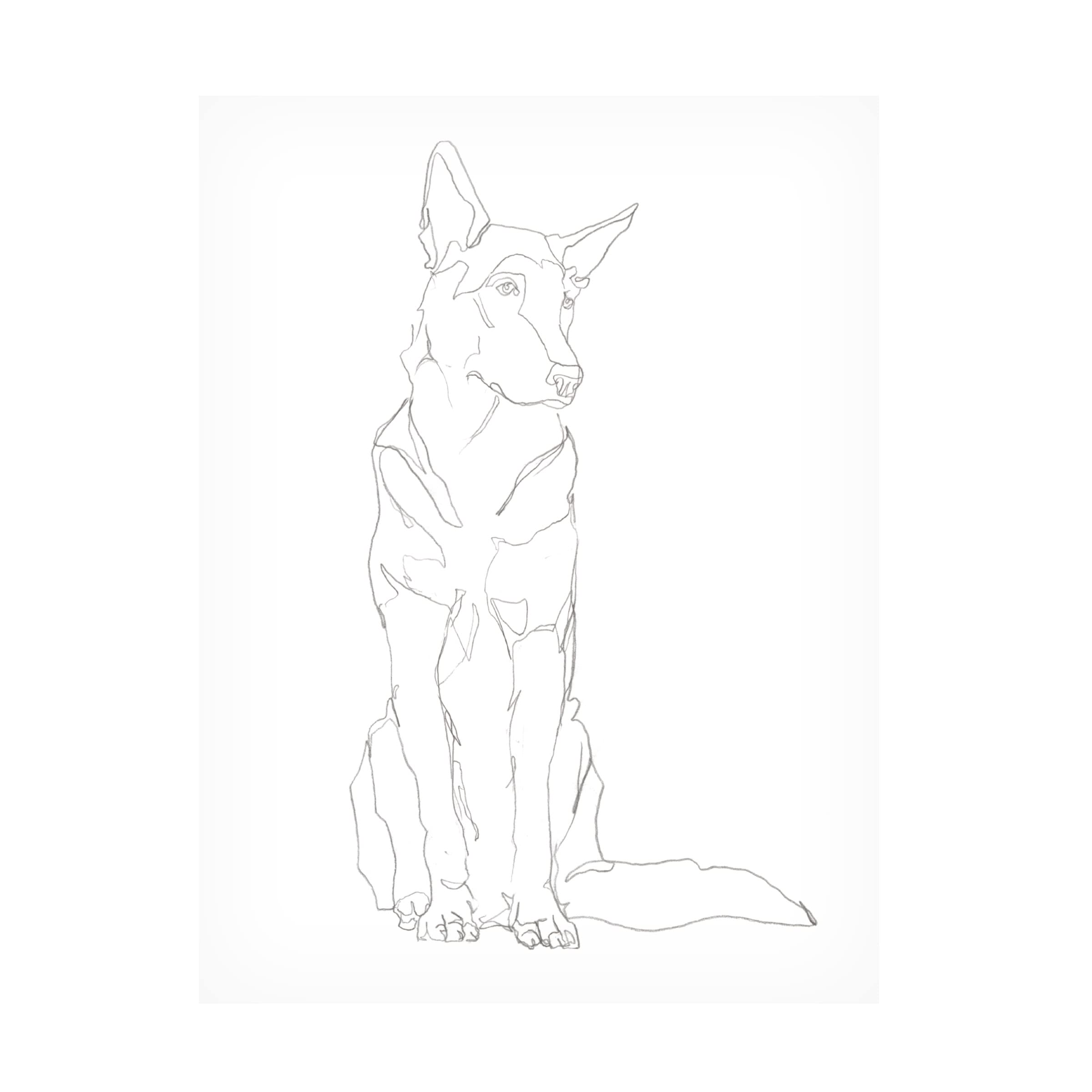Trademark Fine Art 'Dog Contour I' Canvas Wall Art by Ethan Harper - Modern Home Decor for Living Room, Bedroom & Office