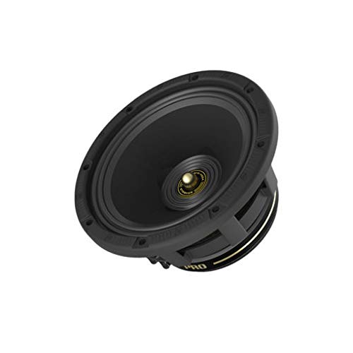 Cerwin Vega CVMPCL10 10-Inch 500W Full-Range Midrange Gold Speakers - Stroker Pro Series for Car Audio, Home Theater & Live Performances