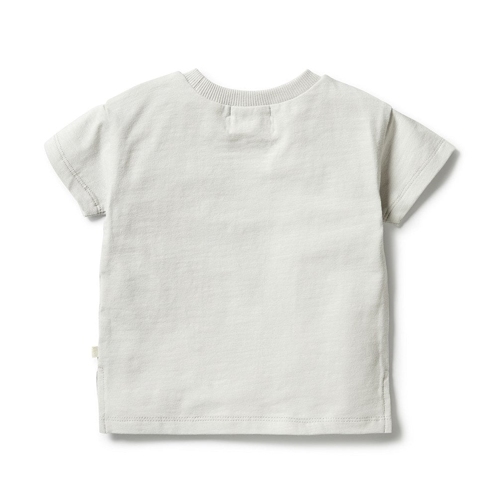 Organic Cotton T-Shirt for Men & Women - Soft & Comfortable 100% Organic Tee - Eco-Friendly Casual Wear for Everyday Use, Gym, and Outdoor Activities