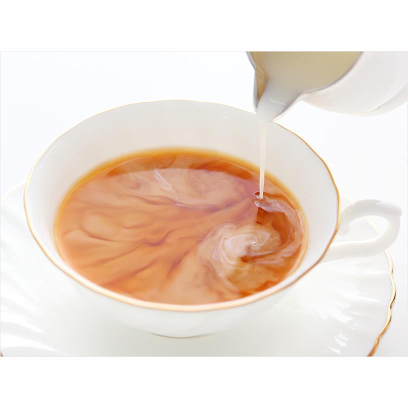 Morinaga Hagukumi Pregnancy Supplement Milk Tea Flavor - 10 Servings | Nutritional Drink for Expecting Mothers | Perfect for Morning Sickness Relief & Pregnancy Wellness
