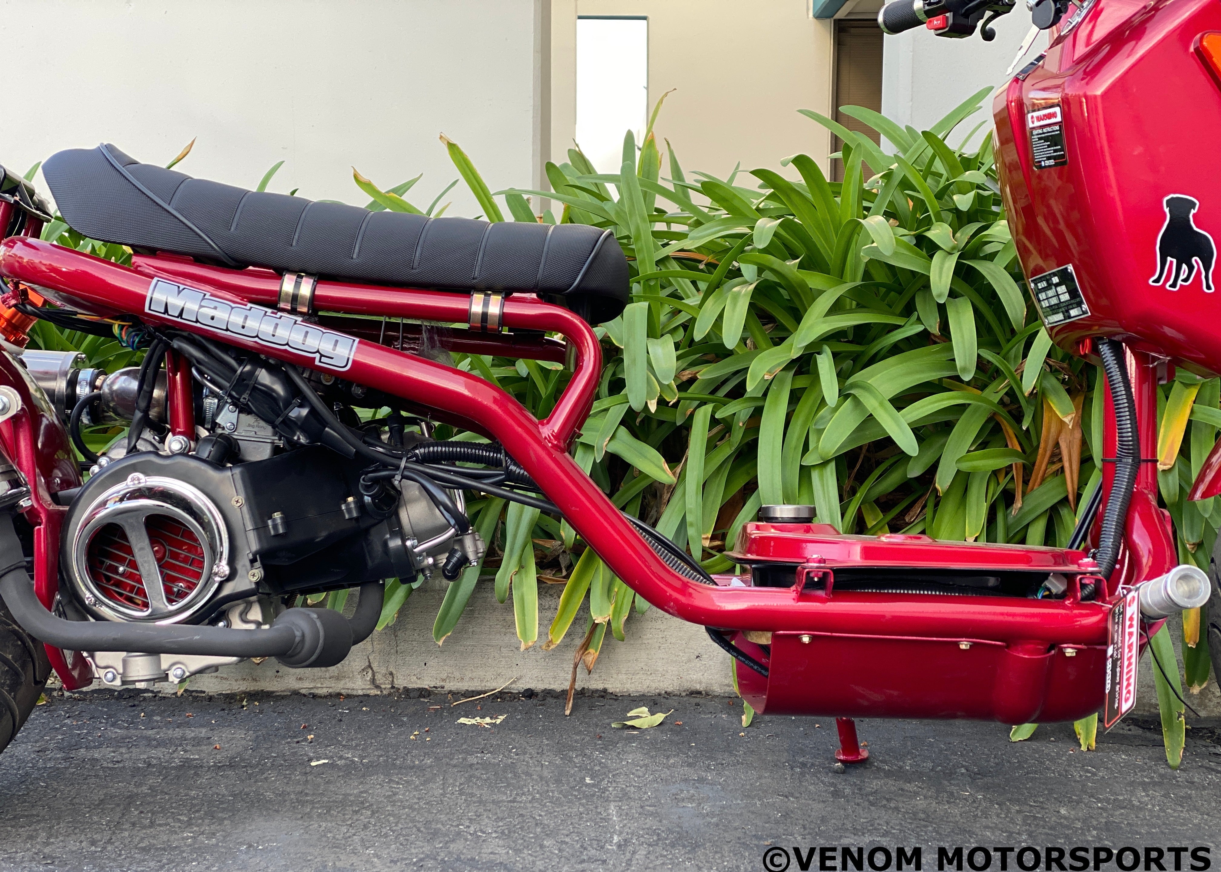 150cc Maddog Scooter - 4th Generation Automatic Transmission Scooter for Adults | Perfect for Commuting, City Riding & Urban Transportation