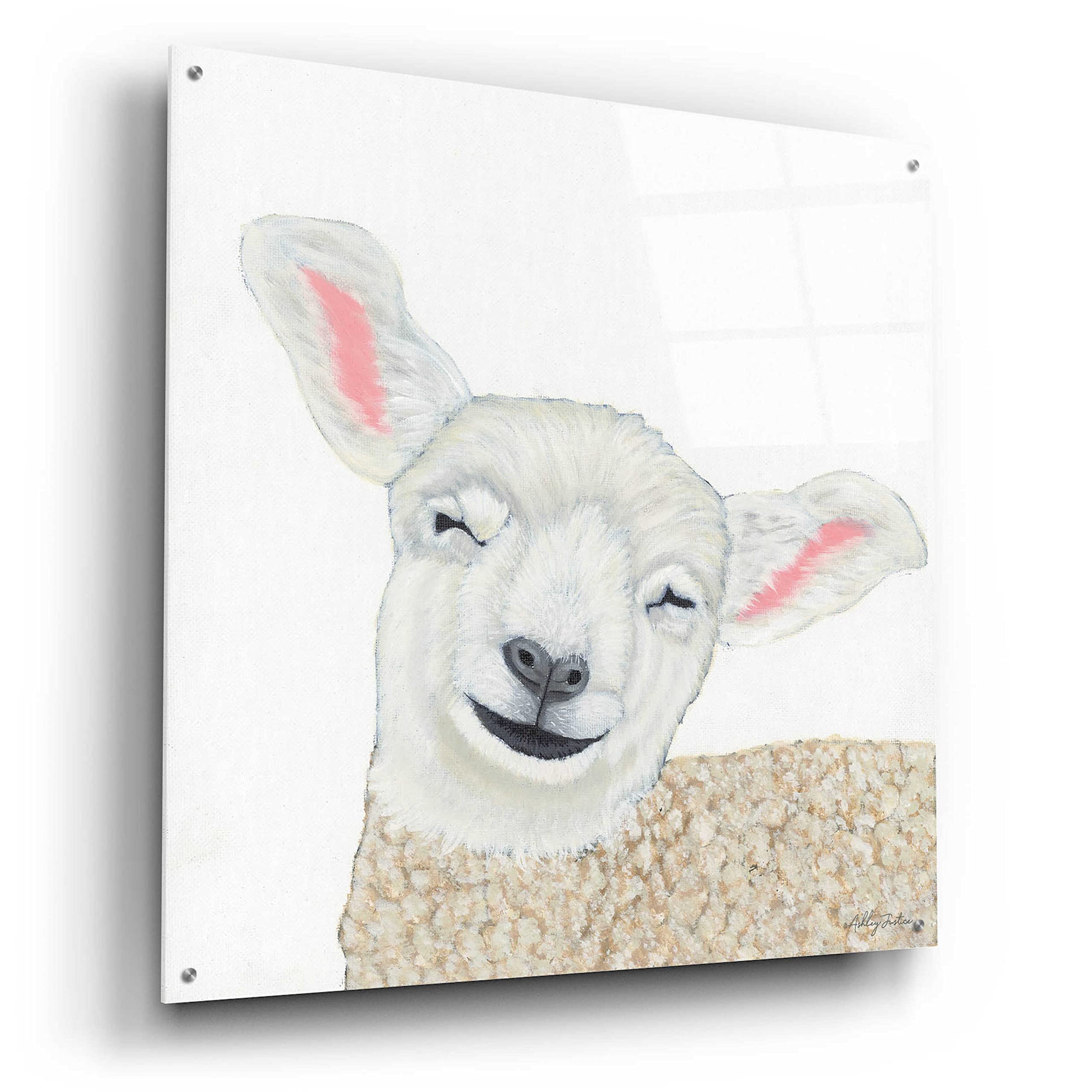 Epic 'Smiling Sheep' Acrylic Glass Wall Art by Ashley Justice - 36x36 Inches Modern Home Decor for Living Room, Bedroom & Office