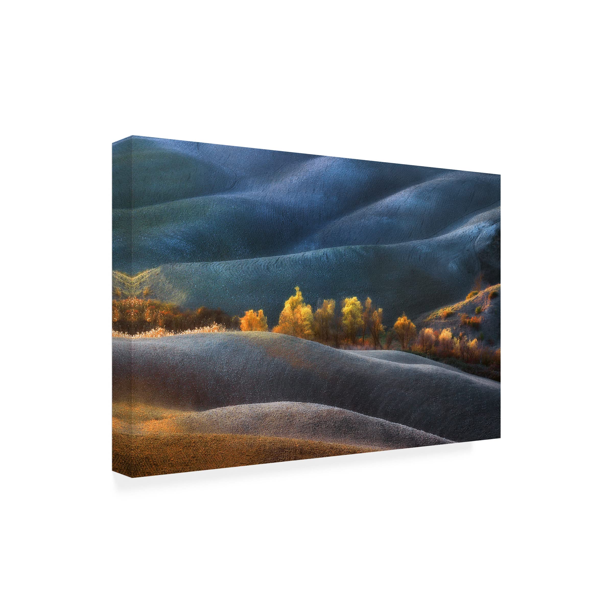 Trademark Fine Art 'Dreamland' Canvas Wall Art Print by Jure Kravanja - Modern Abstract Painting for Living Room, Bedroom & Office Decor