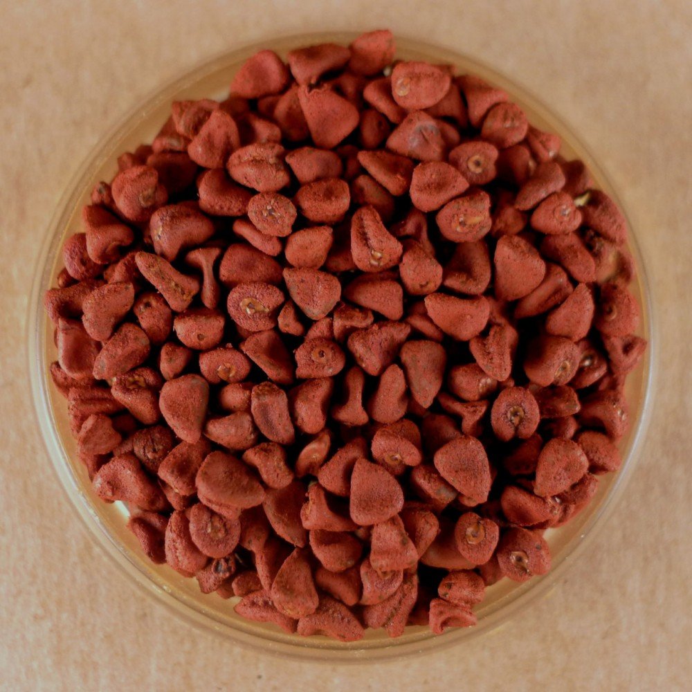 Premium Whole Achiote Seeds (Annatto) - 25 lbs Bulk Pack for Authentic Latin American & Caribbean Cooking, Natural Food Coloring, and Homemade Seasonings