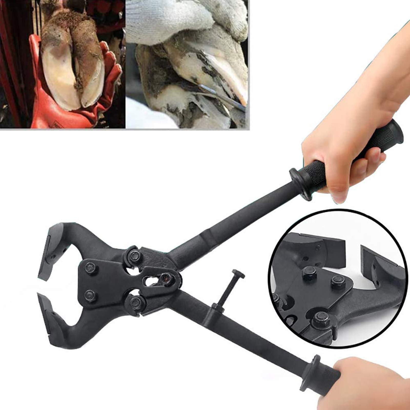 Professional Hoof Knife & Nipper Set for Horses - Farrier Tool with Extra Blade for Hoof Trimming, Shoeing & Equine Care | Ideal for Professional Farriers & Horse Owners