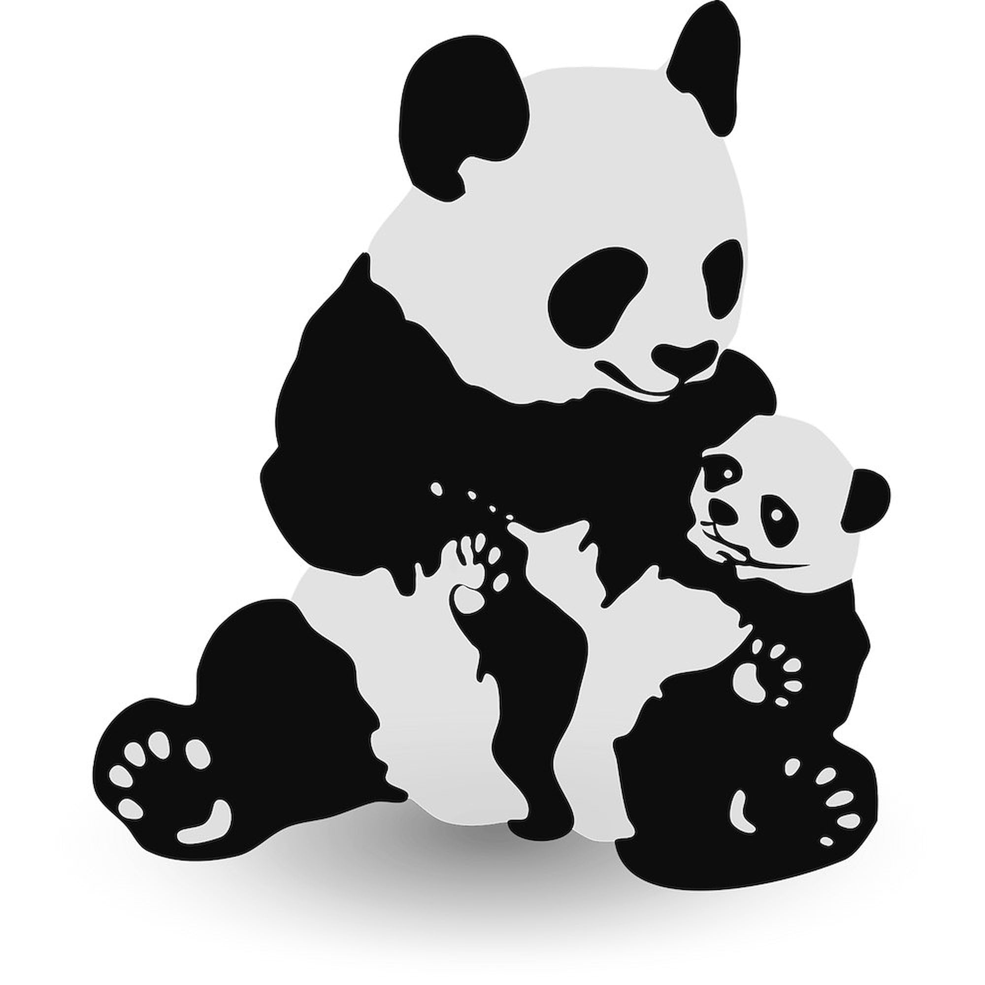 Panda & Baby Panda Car Sticker - Cute Square Bumper Decal for Cars, Laptops & Water Bottles | Durable Vinyl Sticker for Animal Lovers & Nature Enthusiasts