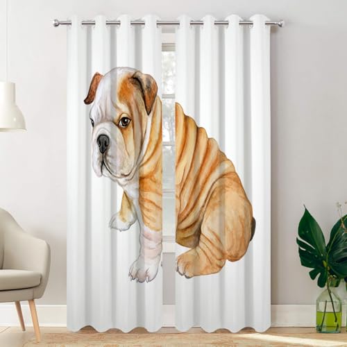 Animal Dog White