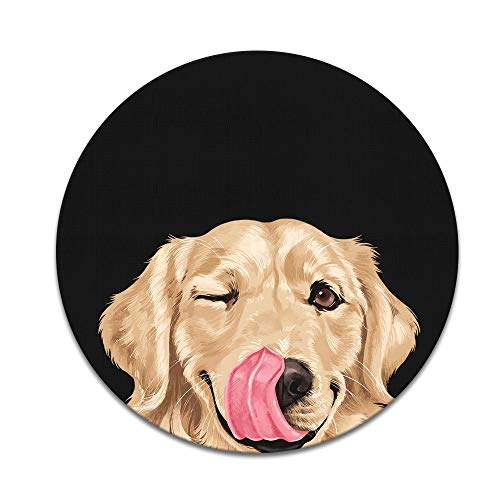 Winking Golden Retriever