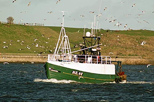 20x30 Inch Laminated Fishing Trawlers Poster - Vibrant Coastal Wall Art for Living Room, Office & Nautical Decor | Durable Home & Marine Themed Decoration