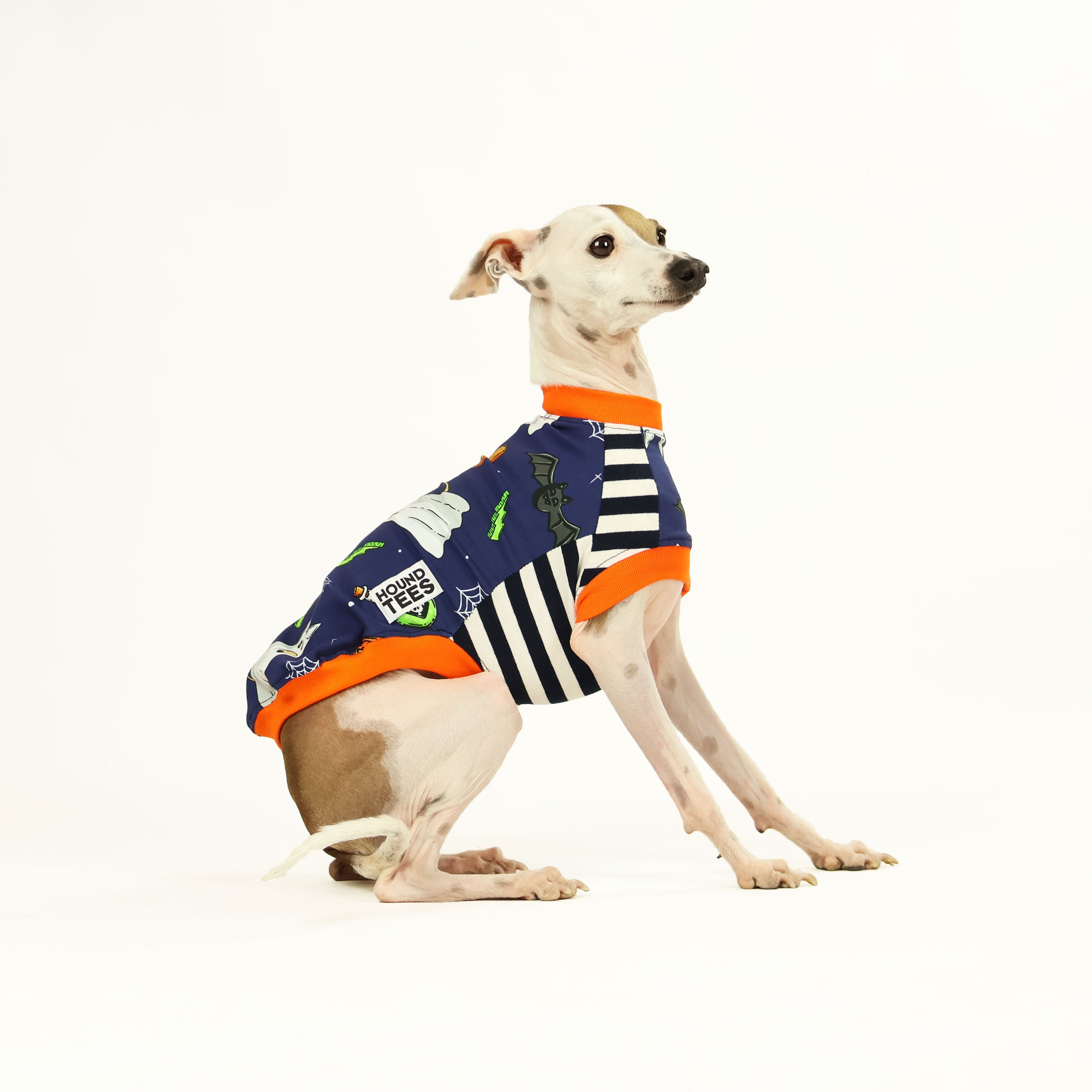 Ghost Hound Italian Greyhound Sleeveless Dog T-Shirt - Comfortable Pet Apparel for Walks & Playtime